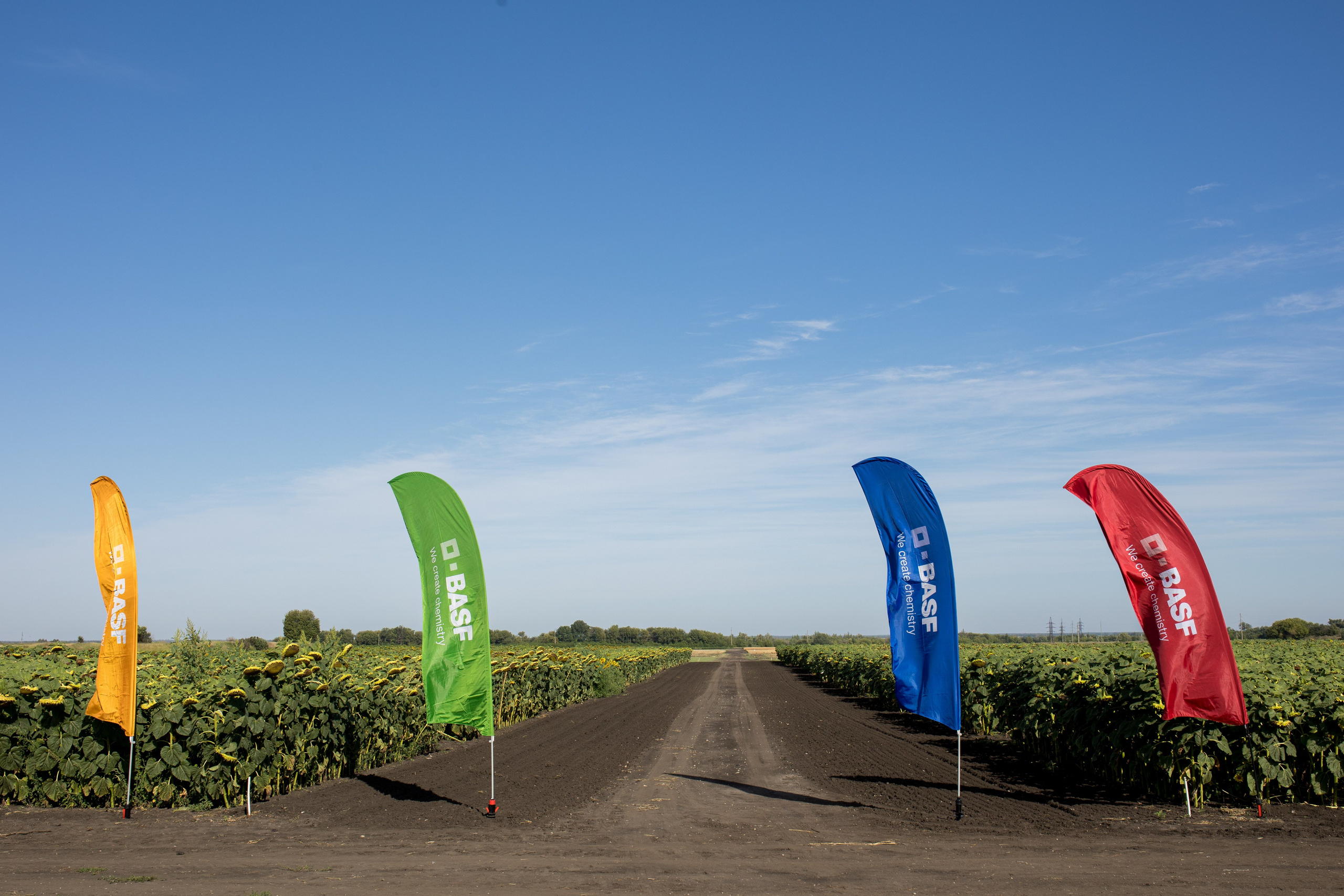Решения для сельского хозяйства BASF 16.08.2022. Владислав Волков | Фотография и видеосъемка в Воронеже
