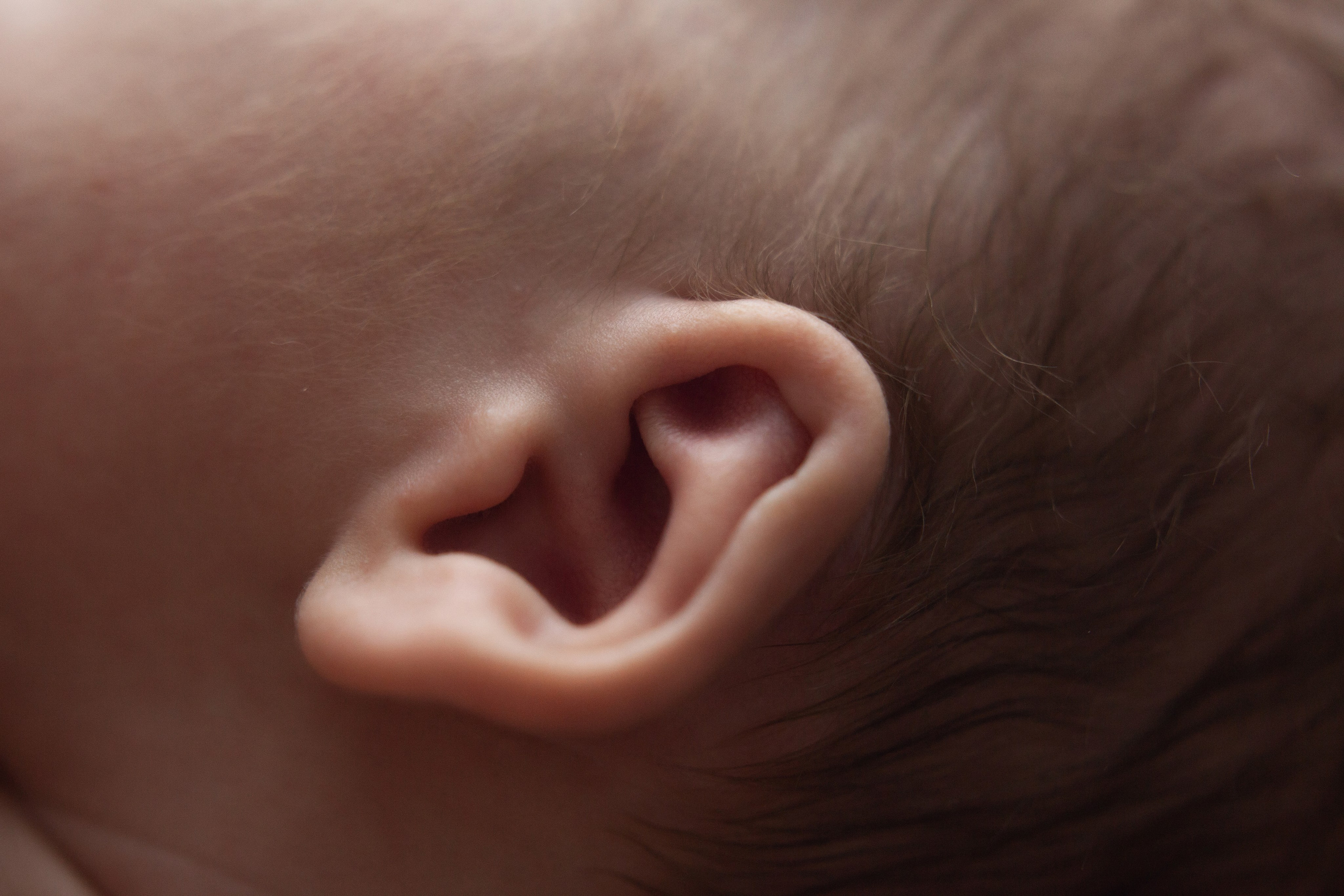 Люция и Амир. Фотосессия новорожденных в Москве фотограф Савина Анастасия