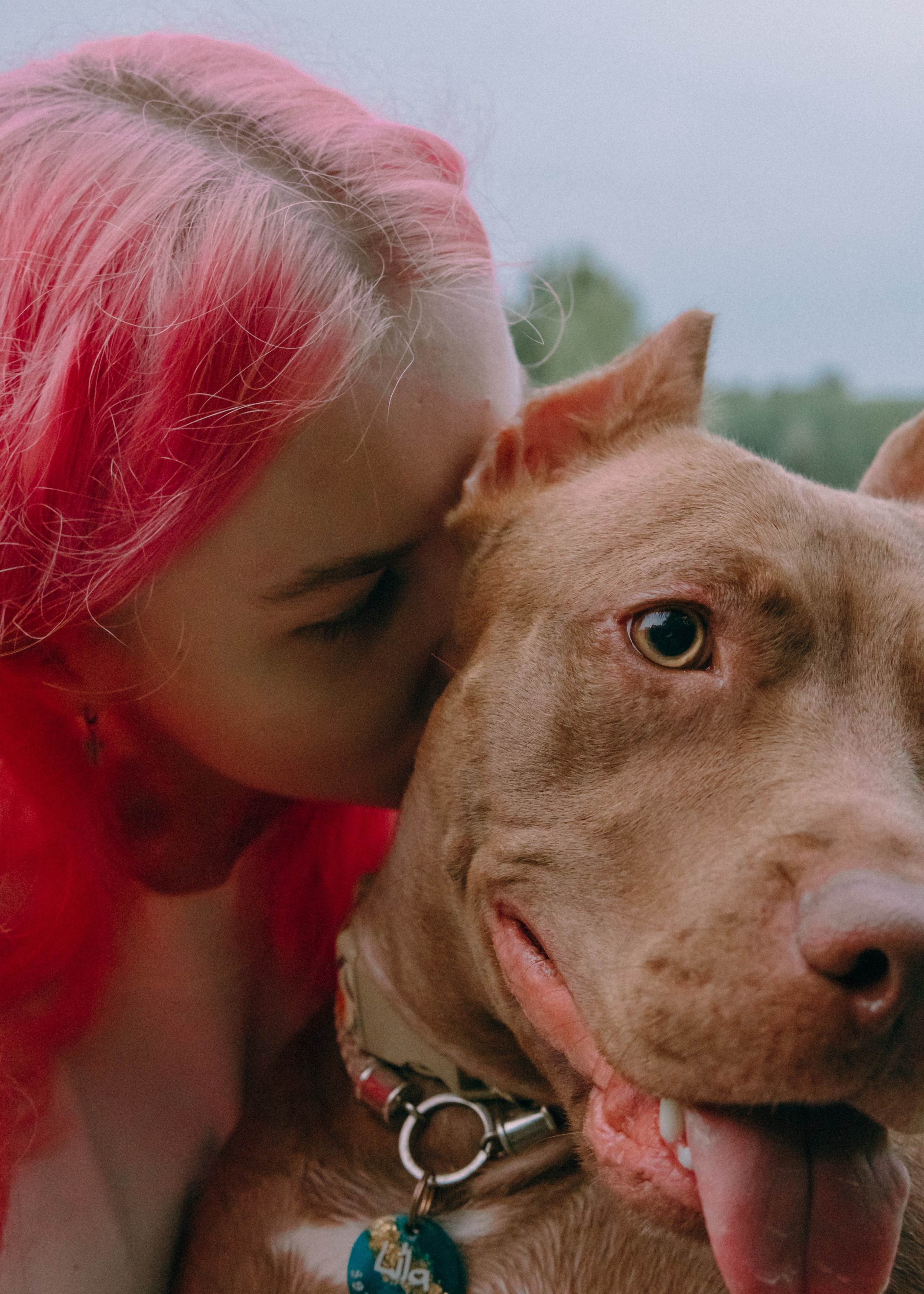 Виолетта, Лила и Питер. Фотограф-анималист Ксения Воробьева, Москва