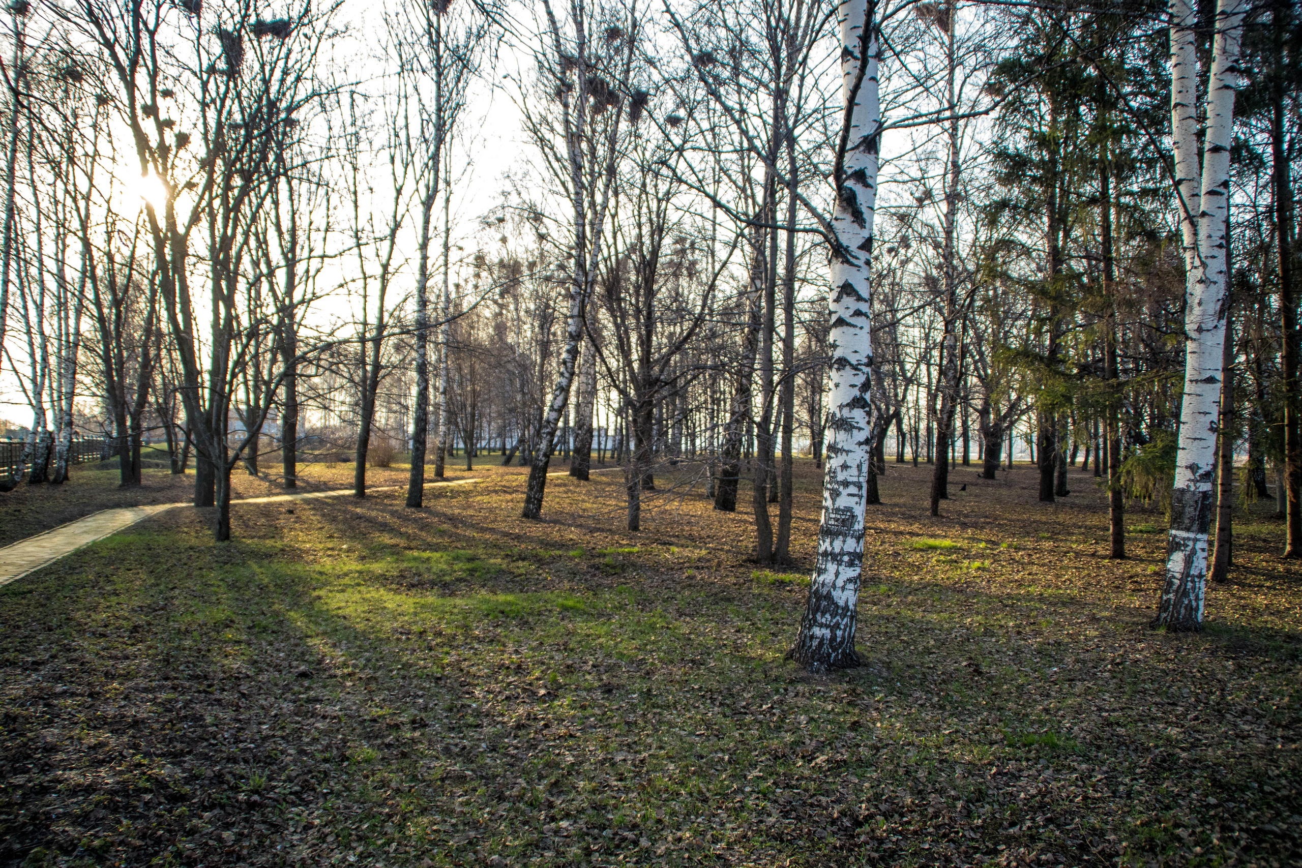 Good old times. Kartascheff