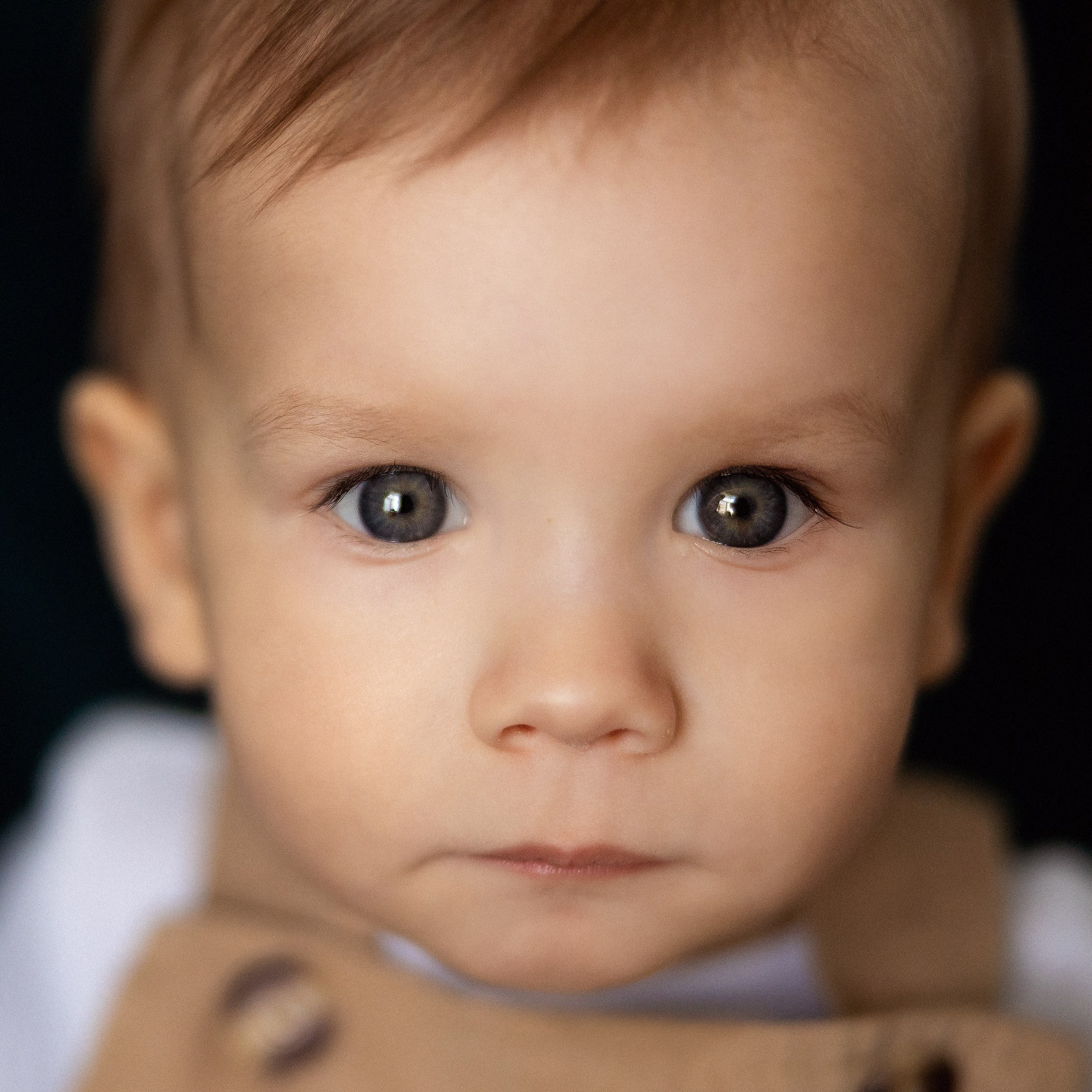 Фотосессии беременности. Семейный фотограф в Москве