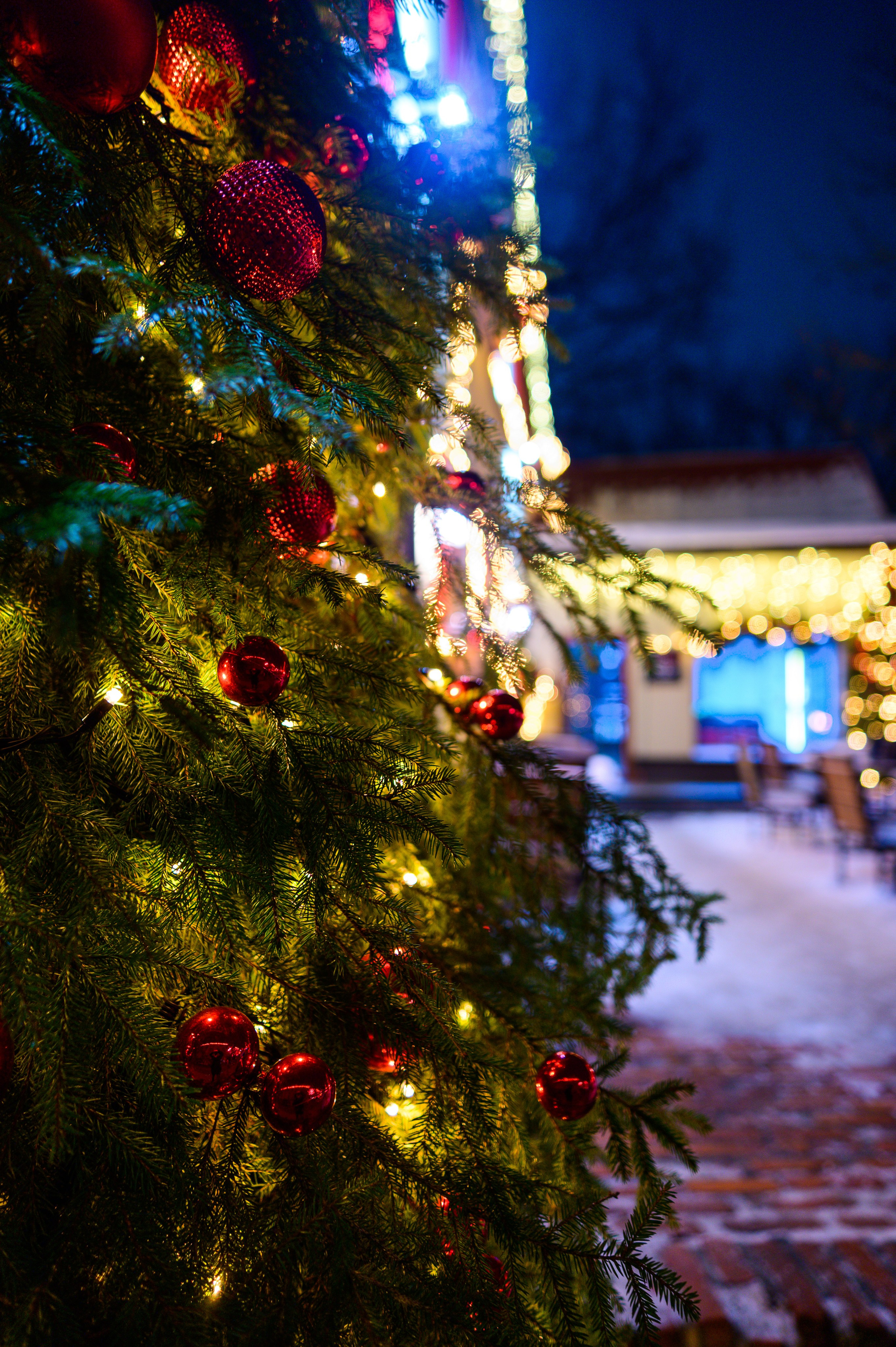 Зимняя Калининградская область. Фотосъемка и видеосъемка в Калининграде Liveemotion.pro