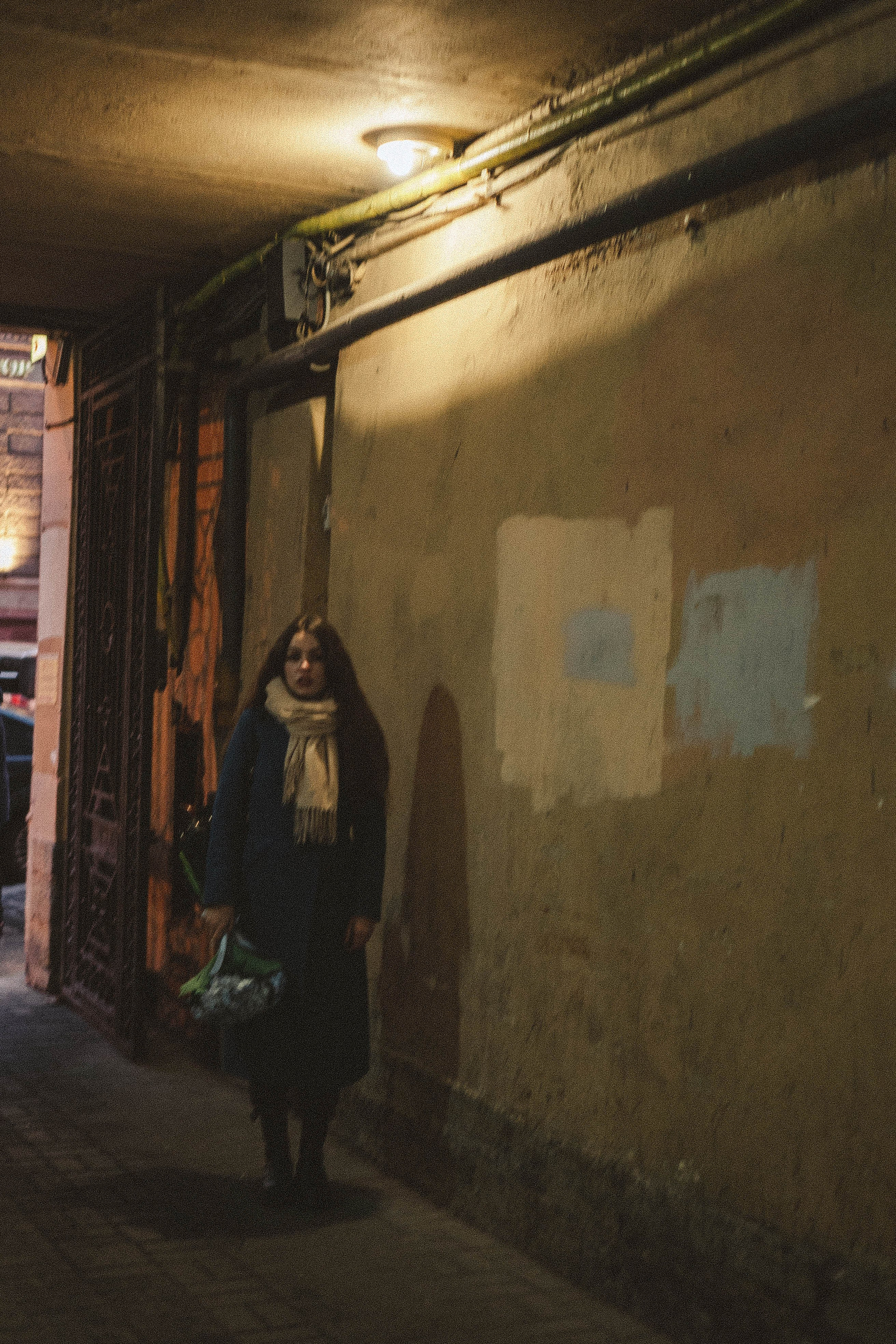 Прогулочная в центре. Профессиональный фотограф, Санкт-Петербург — Виктория Богомолова