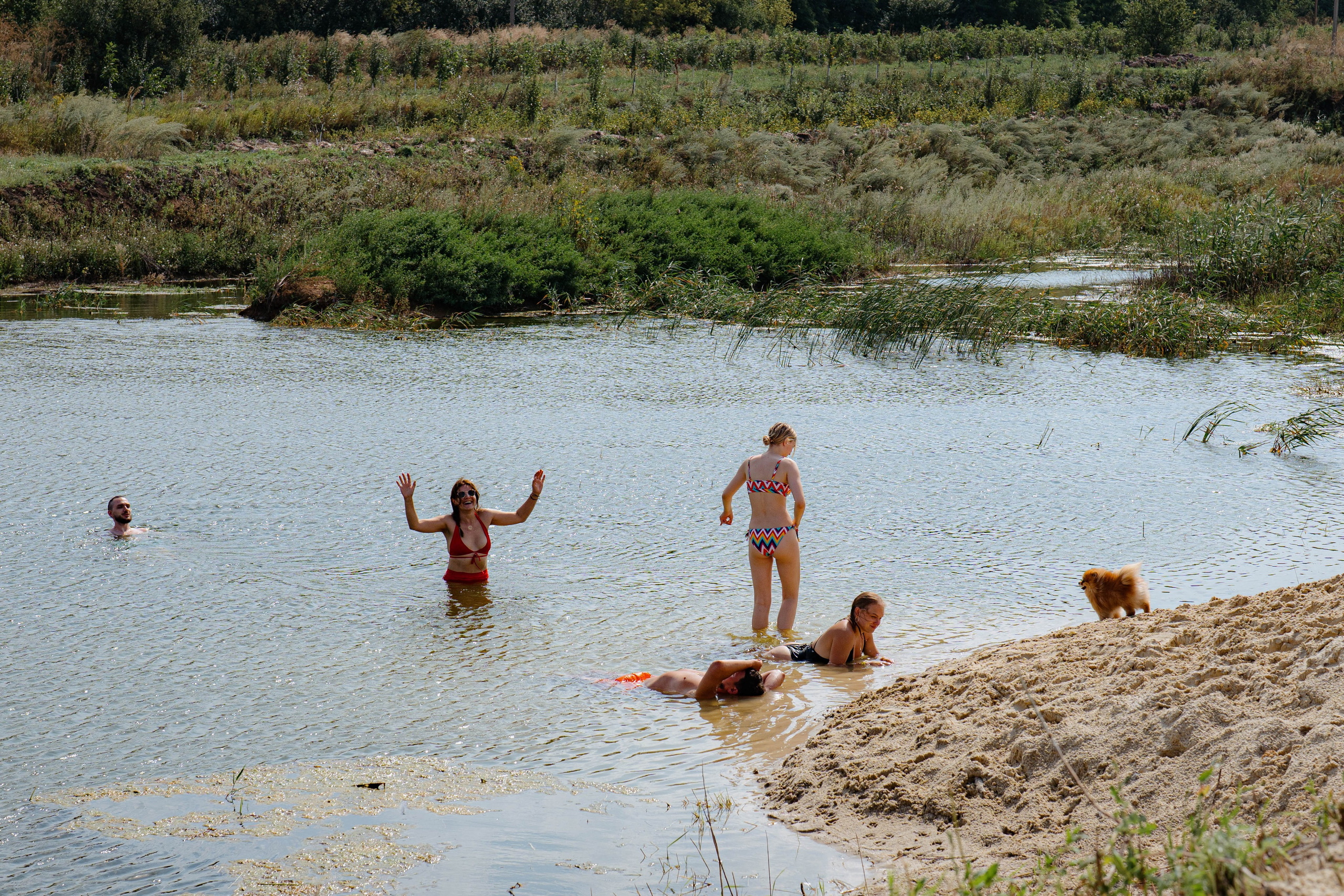 ASS FAMILY | СОН В ДЕРЕВНЕ | АВИАРЕЖИМ 8.0