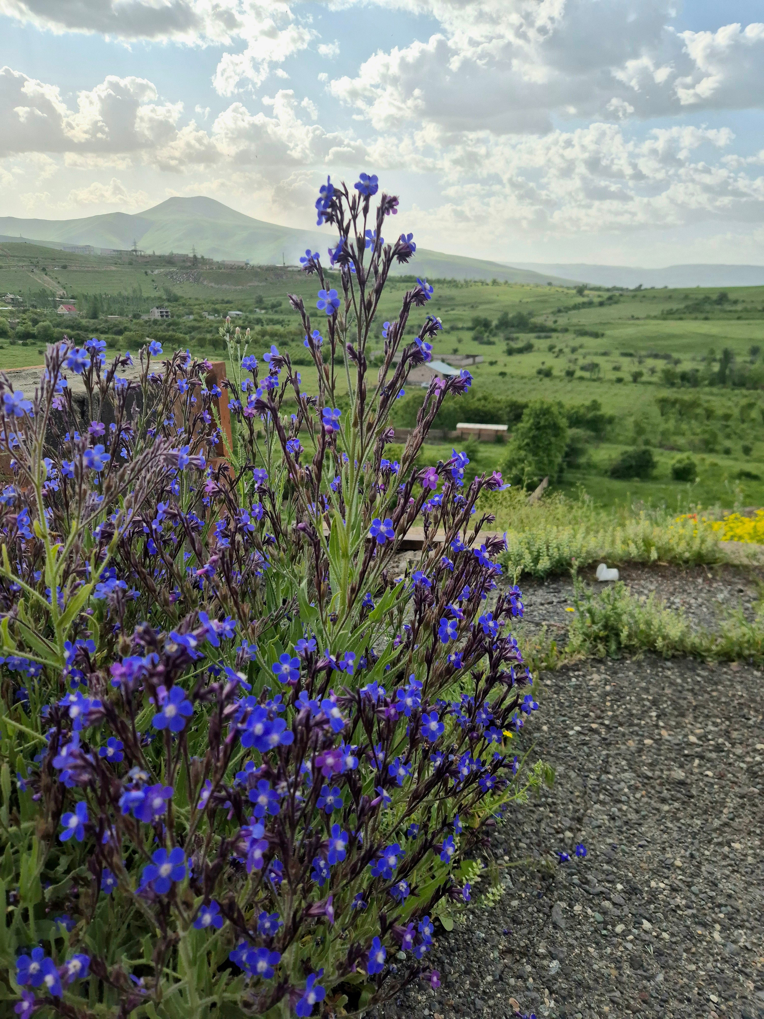 Яркие весенние краски