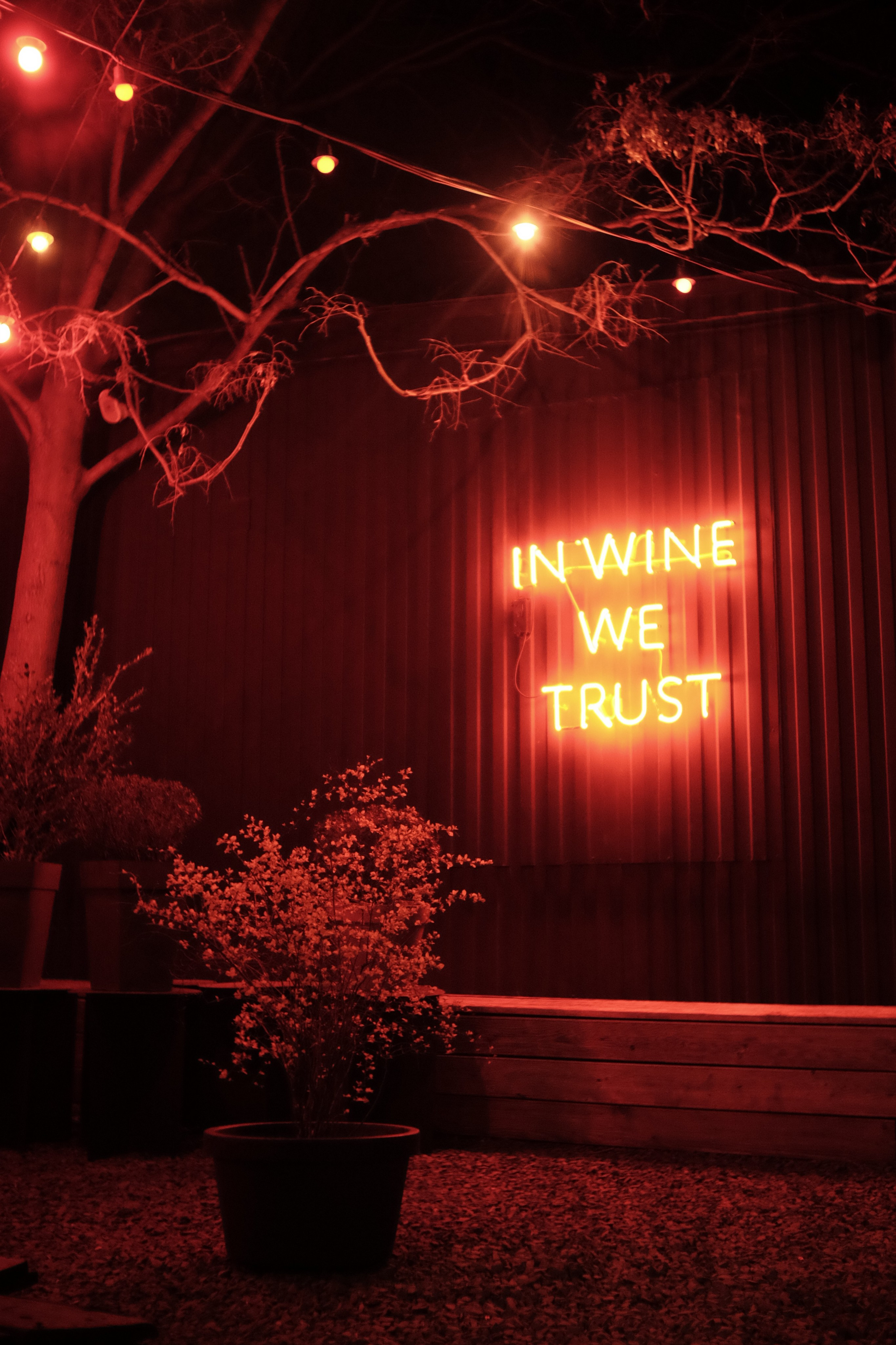 Street. Свадебный фотограф в Ростове-на-Дону Владимир Пешков