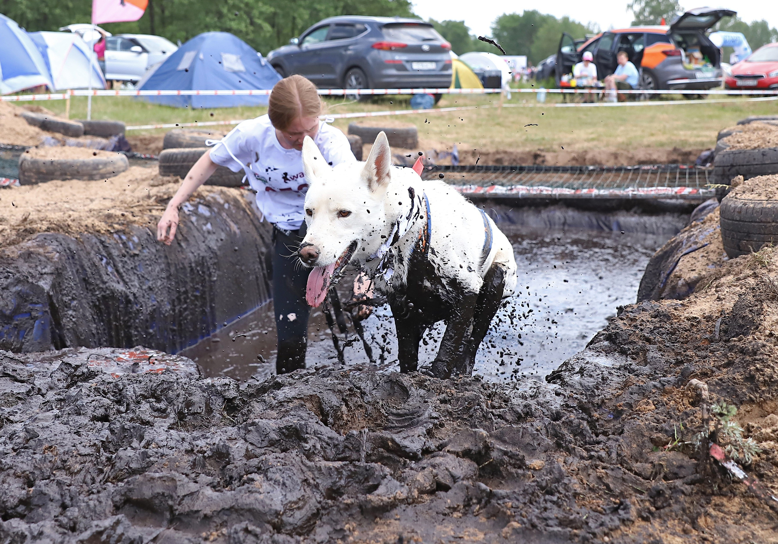 Хвостатый драйв. Семейный и детский фотограф в Москве и МО Елена Москвичева