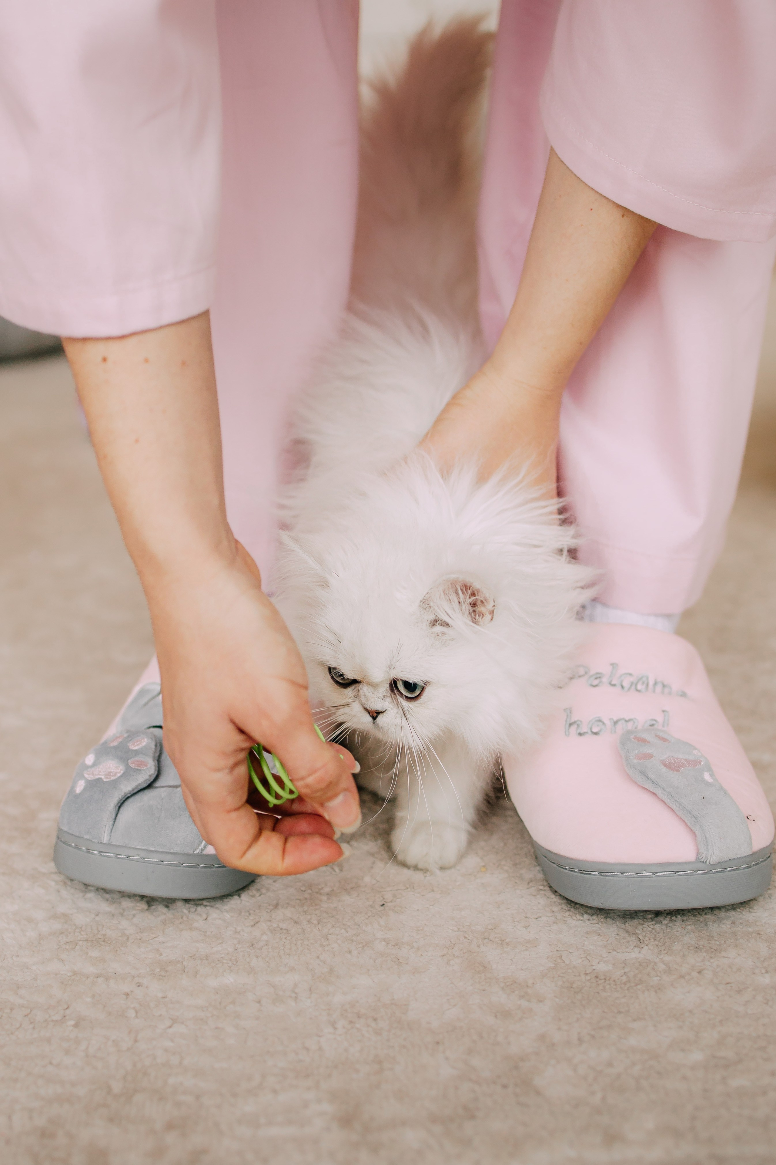 Султан, Мэй Мэй и Шанталь и их семья