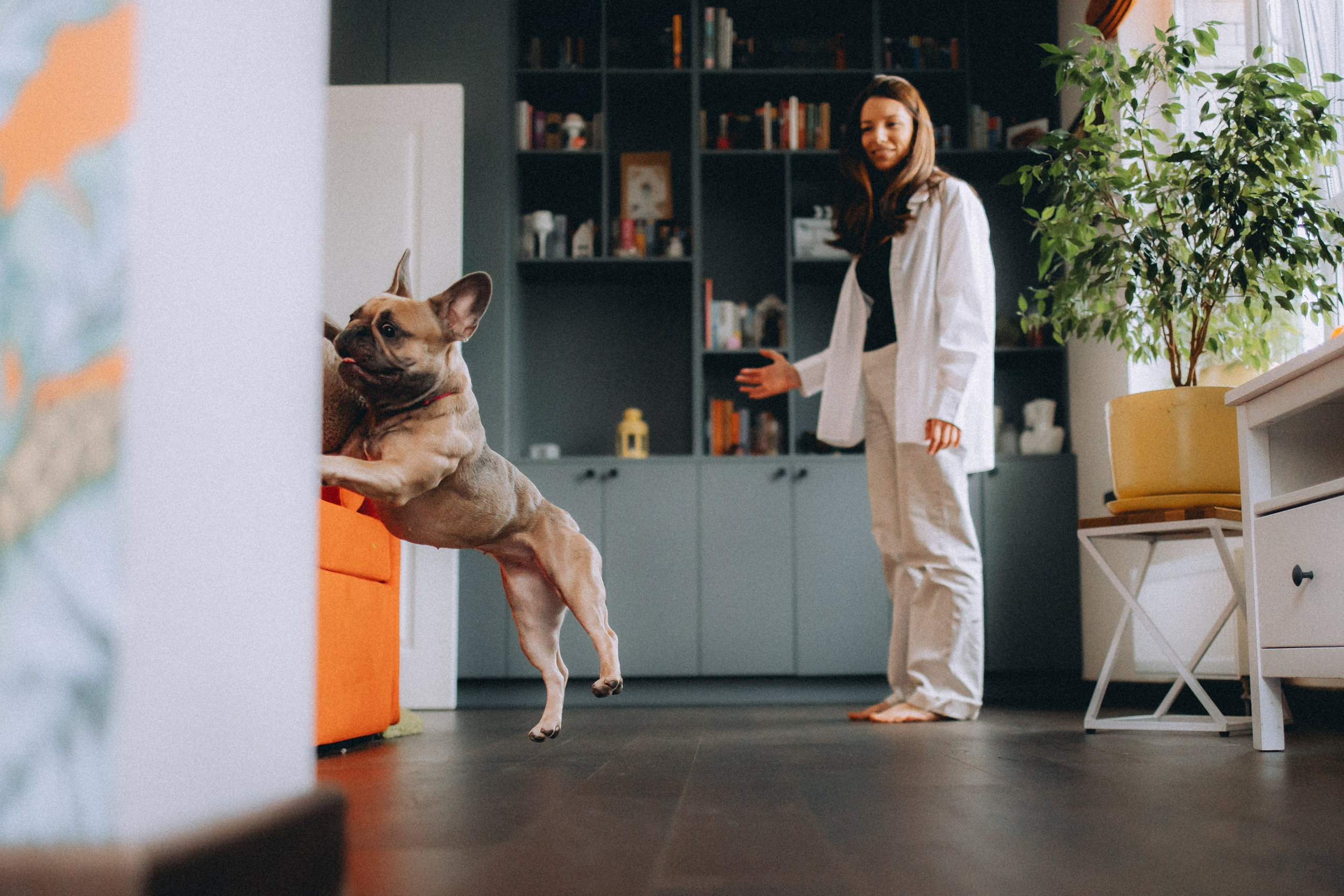 Юля, Мия и Зек