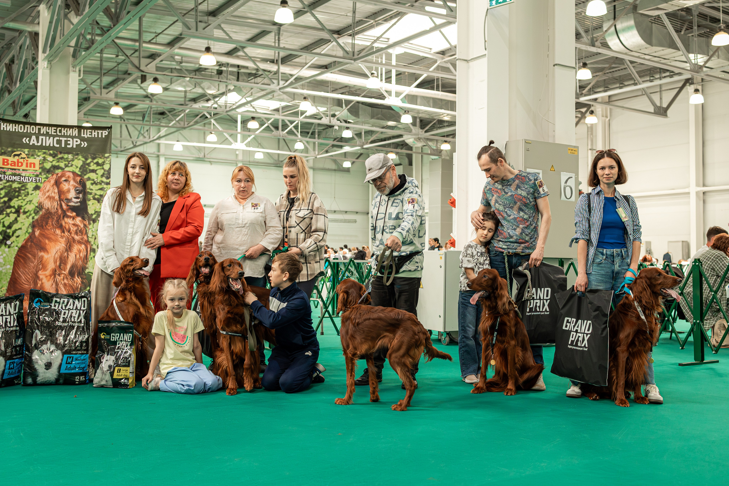 Выставка сеттеров 19.05.24