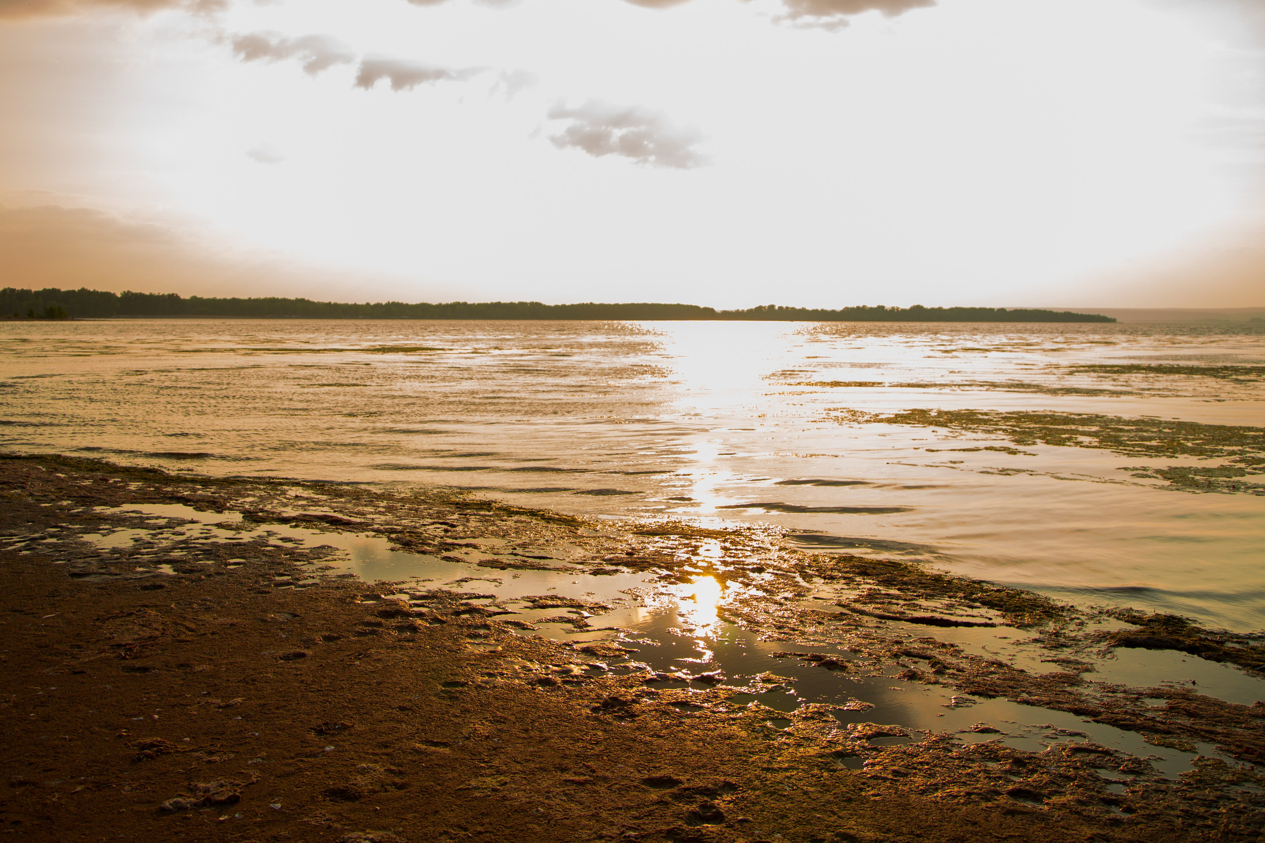 Фотосъемка Love Story на Волге. Свадебный фотограф, видеограф в Самаре, Самарской области. Видеосъемка