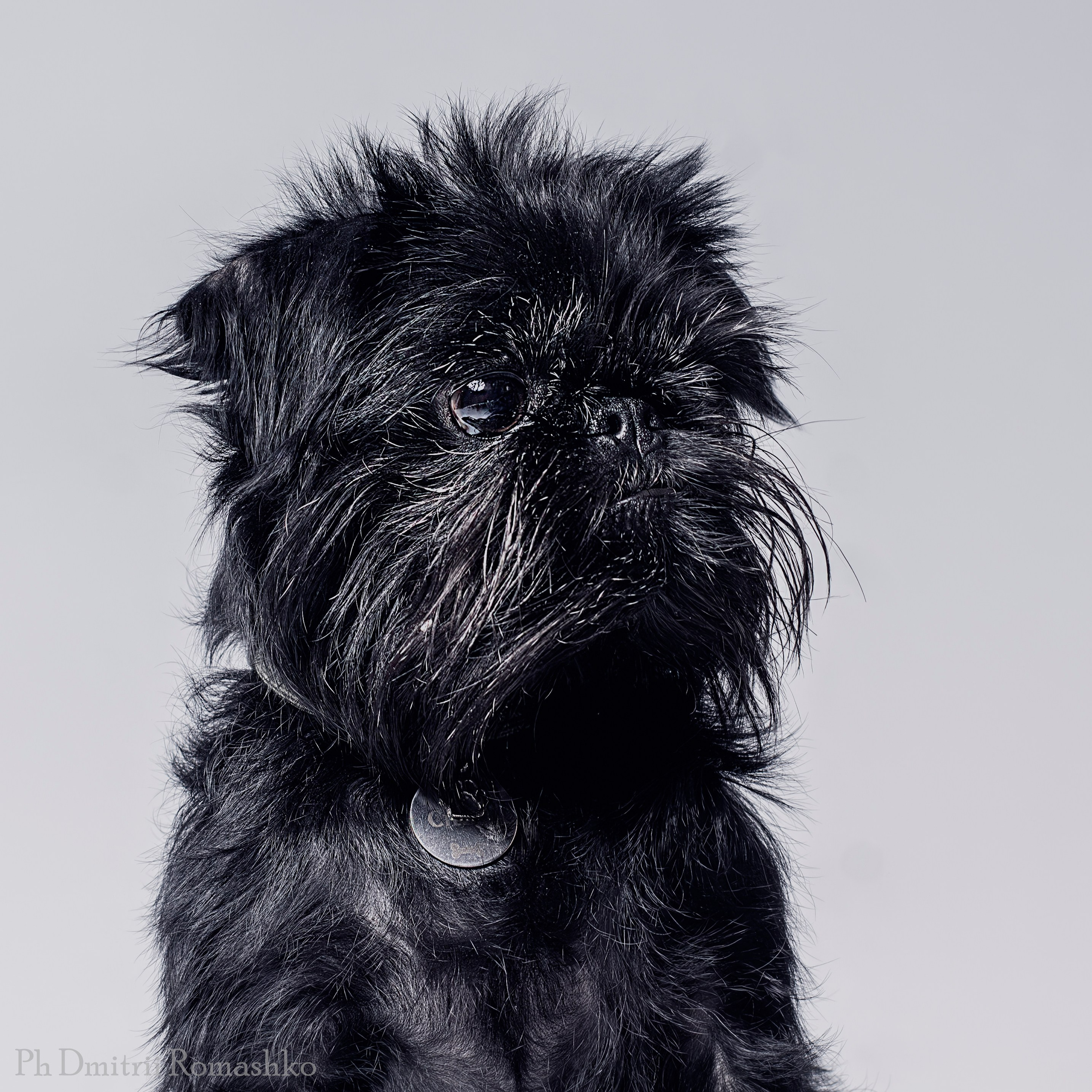 Анималистка. Фотограф Дмитрий Ромашко