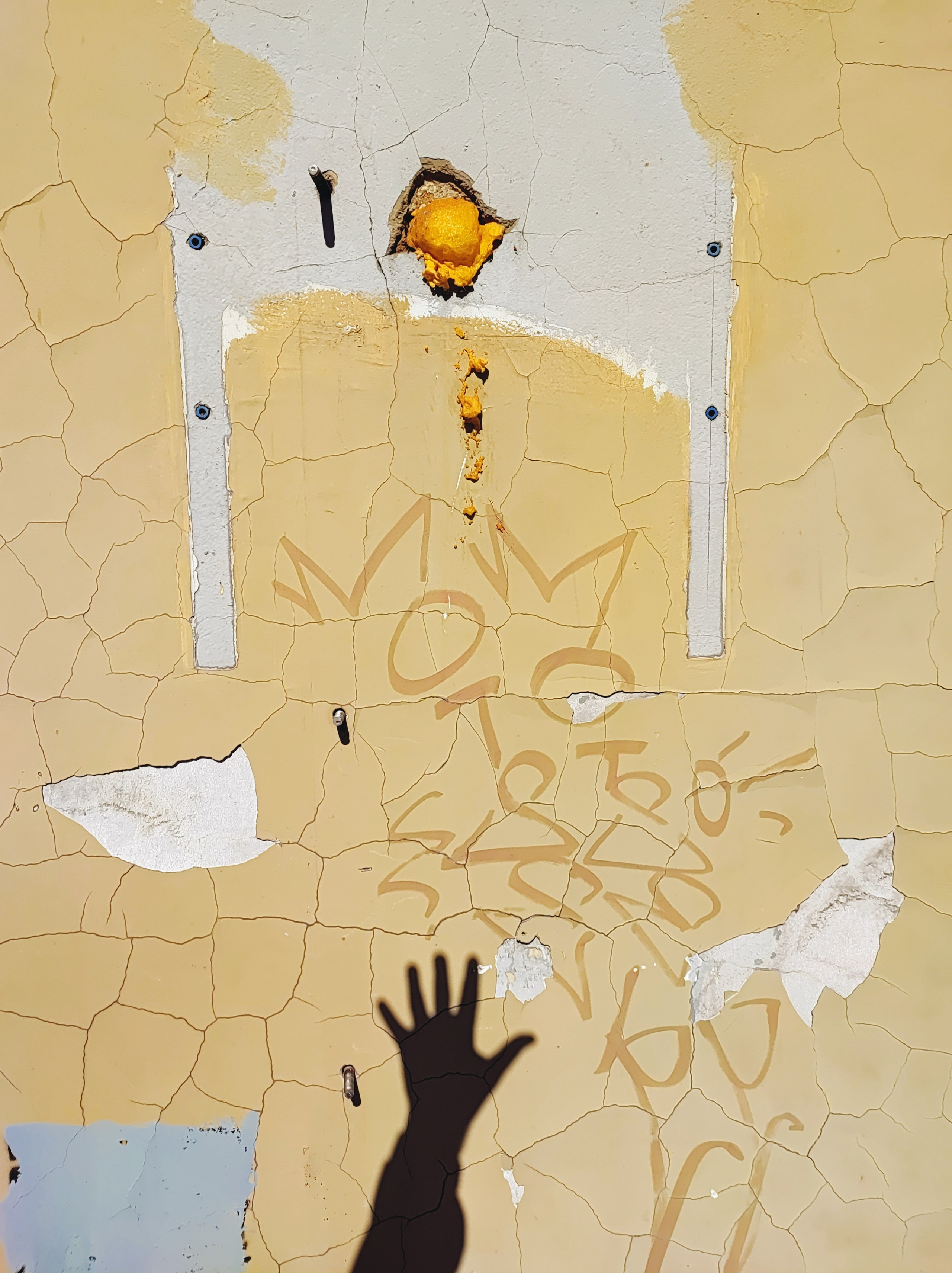 Намобилкус тульский. Репортажный фотограф Алексей Пирязев