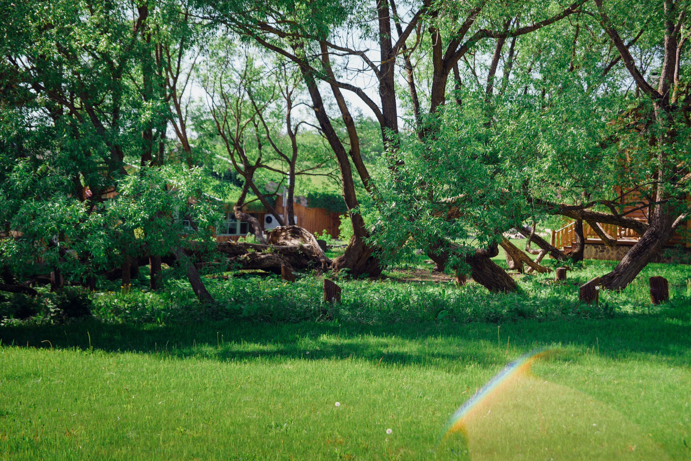 Екатерина & Артём. Видеограф и фотограф на свадьбу в Москве