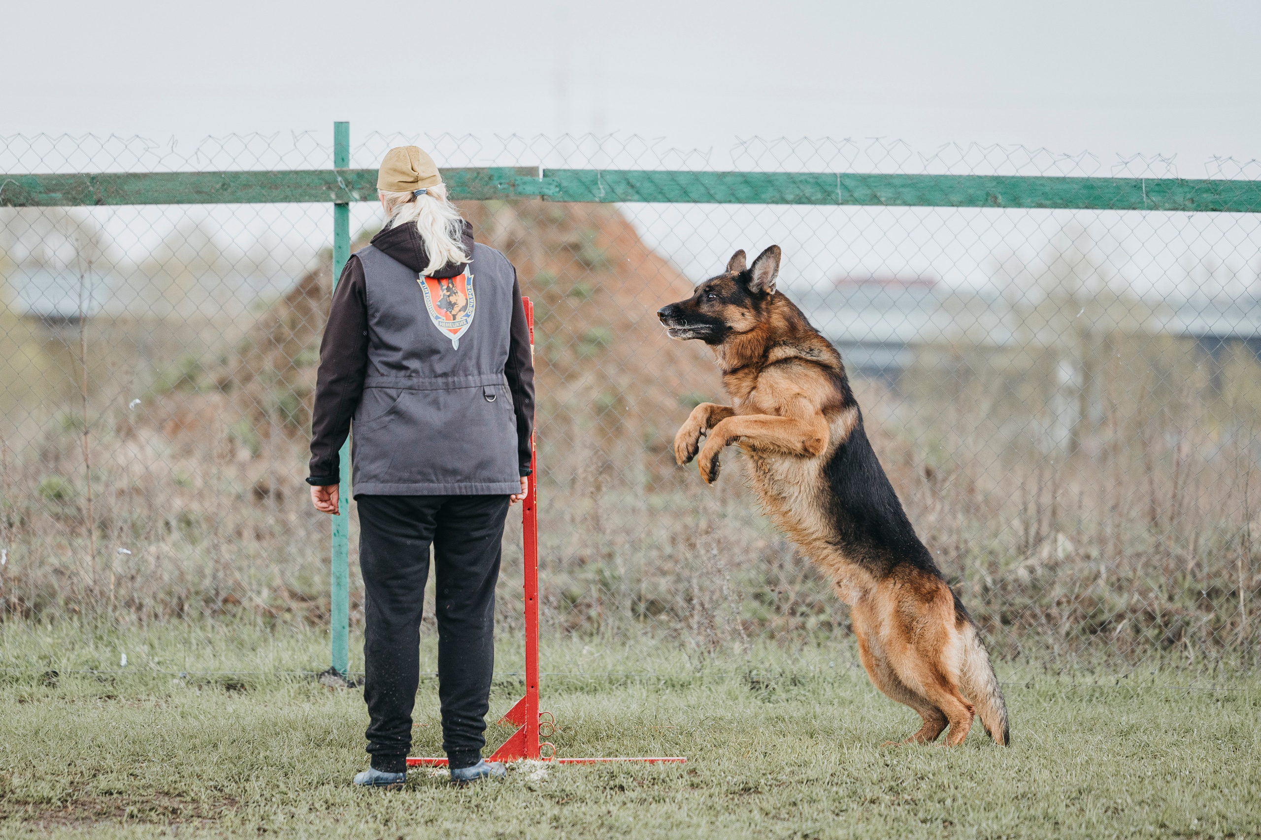 09.05.25 Вологда соревнования. Фотограф-анималист Анна Маринич