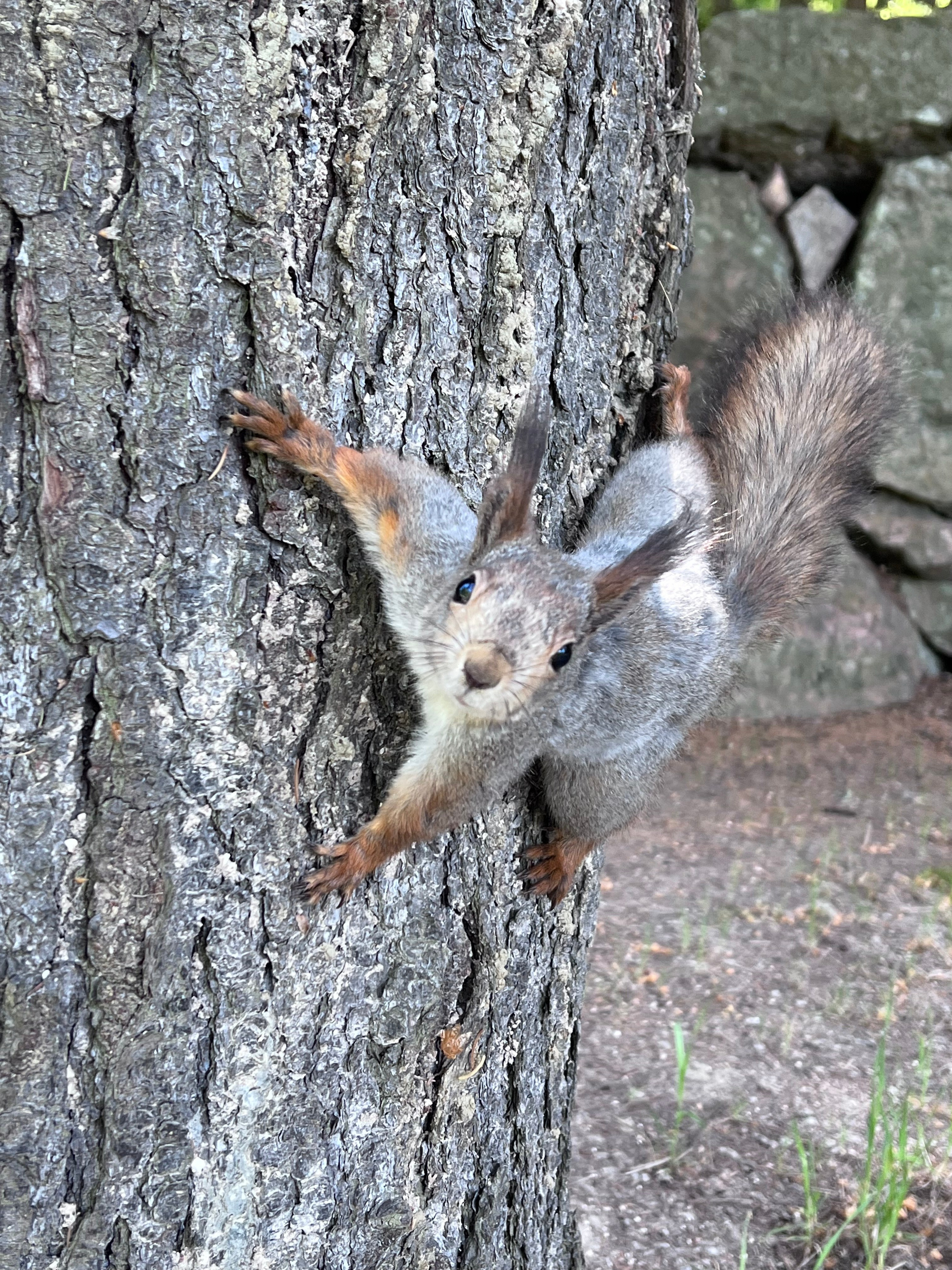 Питер и Выборг. Путешествия со смыслом