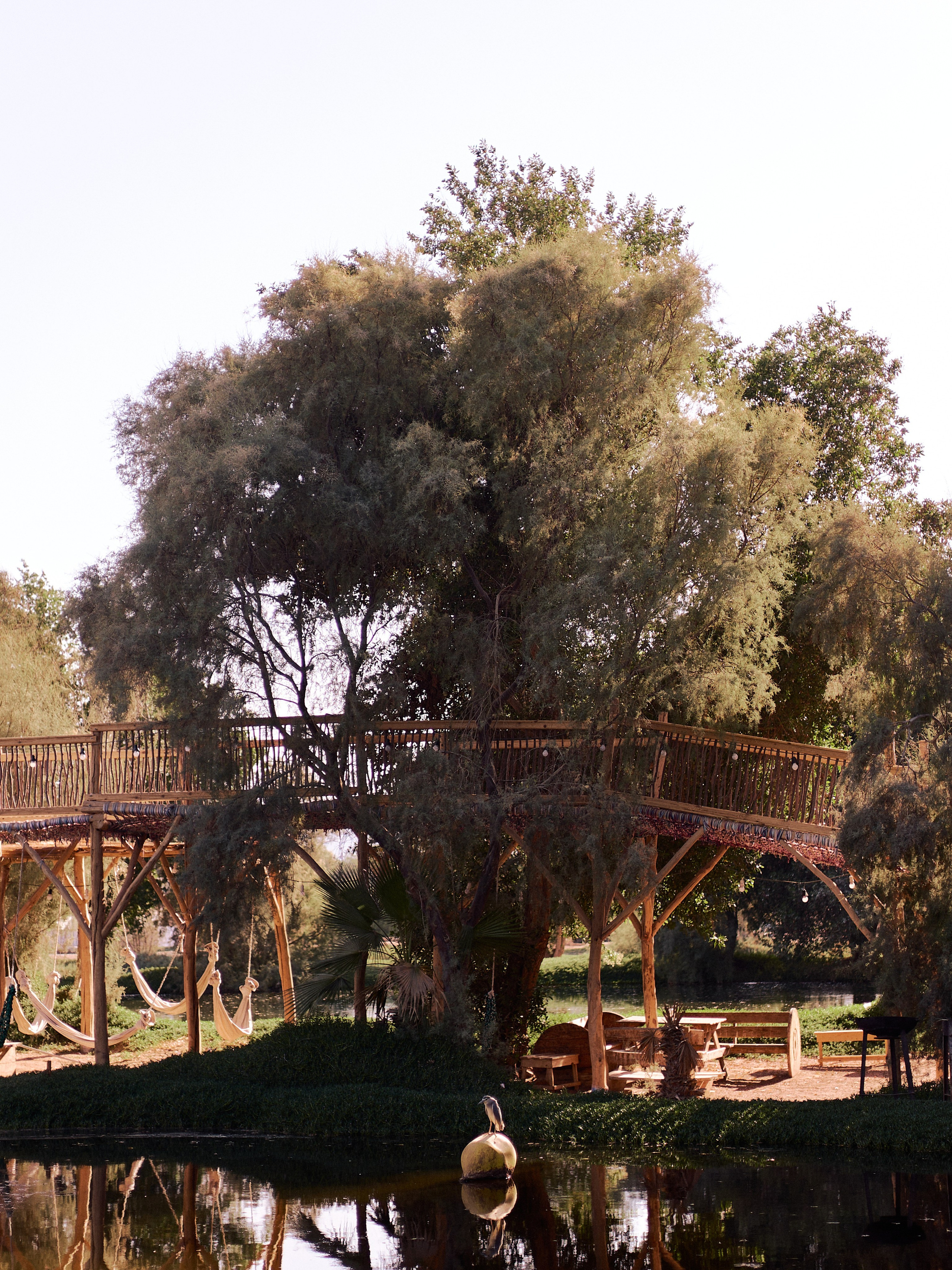 Другое 3. Jorgis Talè — photographer, kind person, teacher of arts and other mag