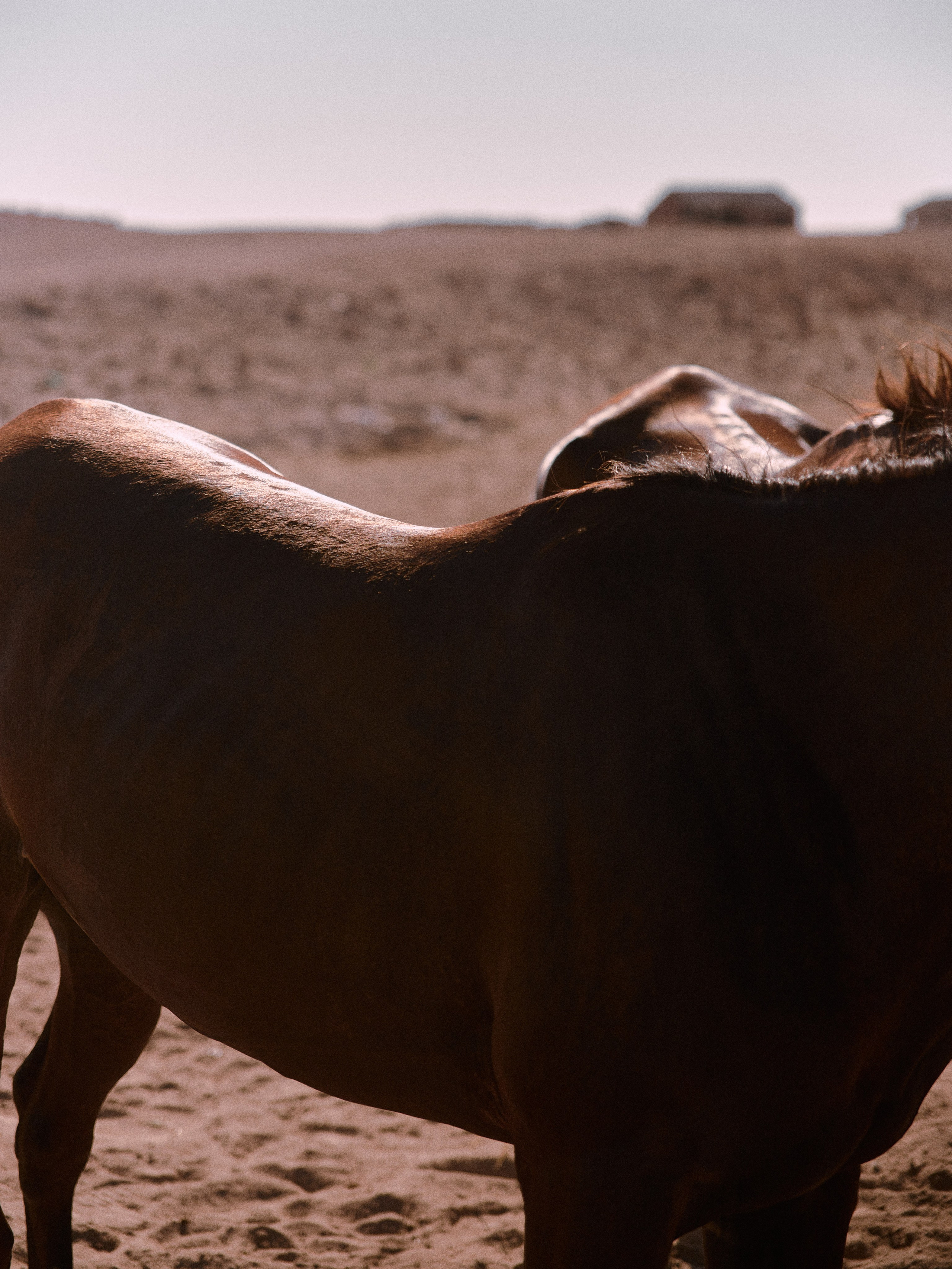 Другое 2. Jorgis Talè — photographer, kind person, teacher of arts and other mag