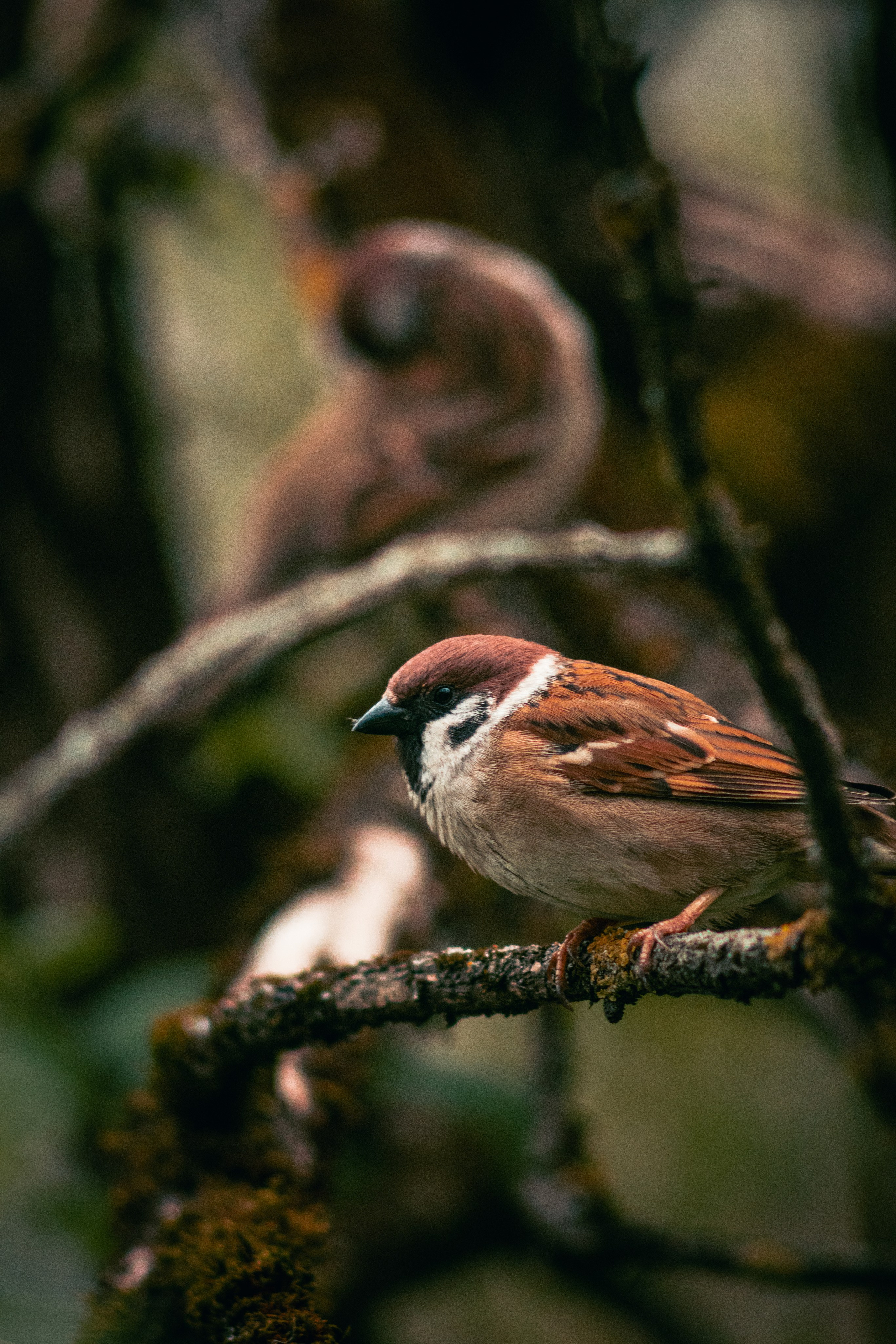 Все в перемешку. Фотограф Крутой Максим