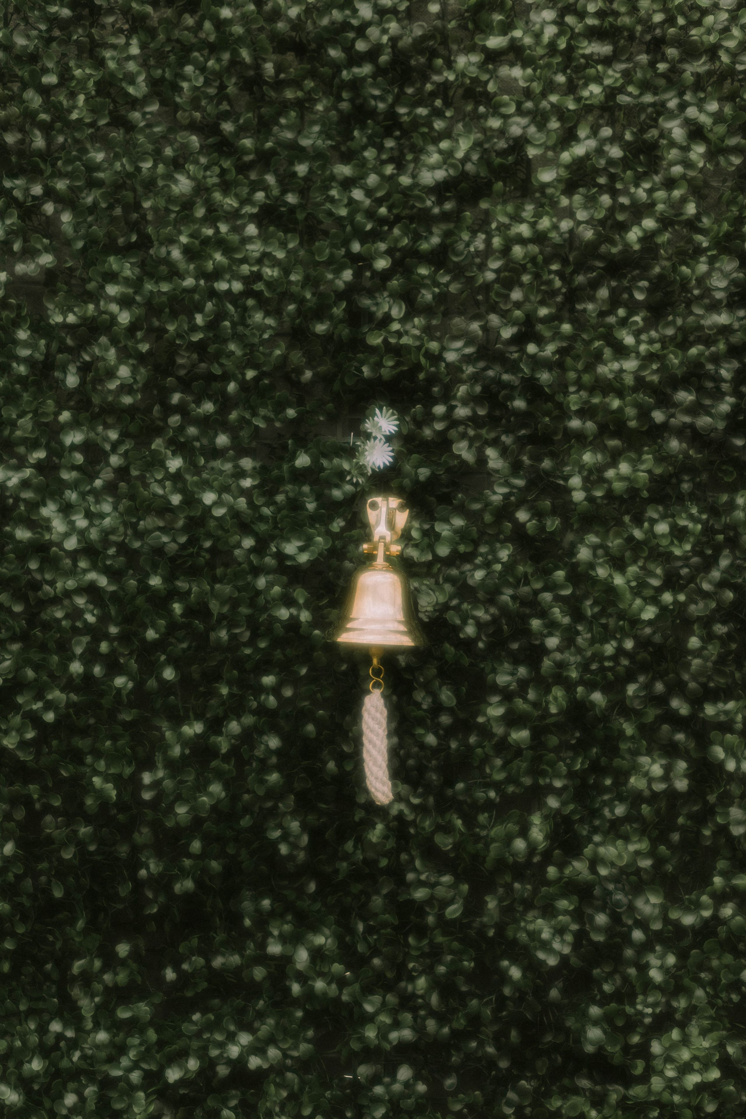 Портреты и Love Story. Портретный и свадебный фотограф в Воронеже Светлана Кунахова