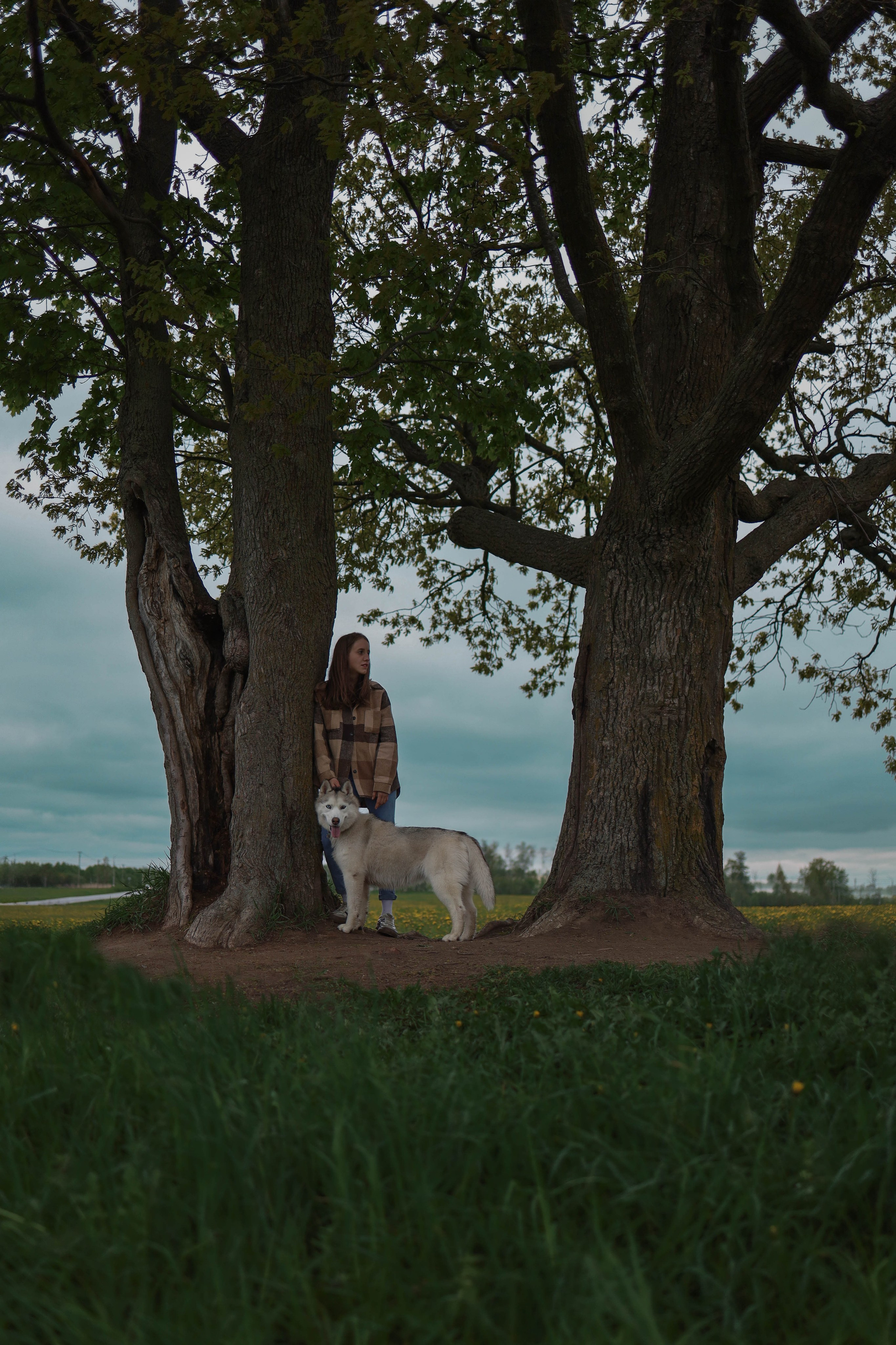 Шанти и Катя. Фотограф-анималист в Санкт-Петеребурге Титова Алиса