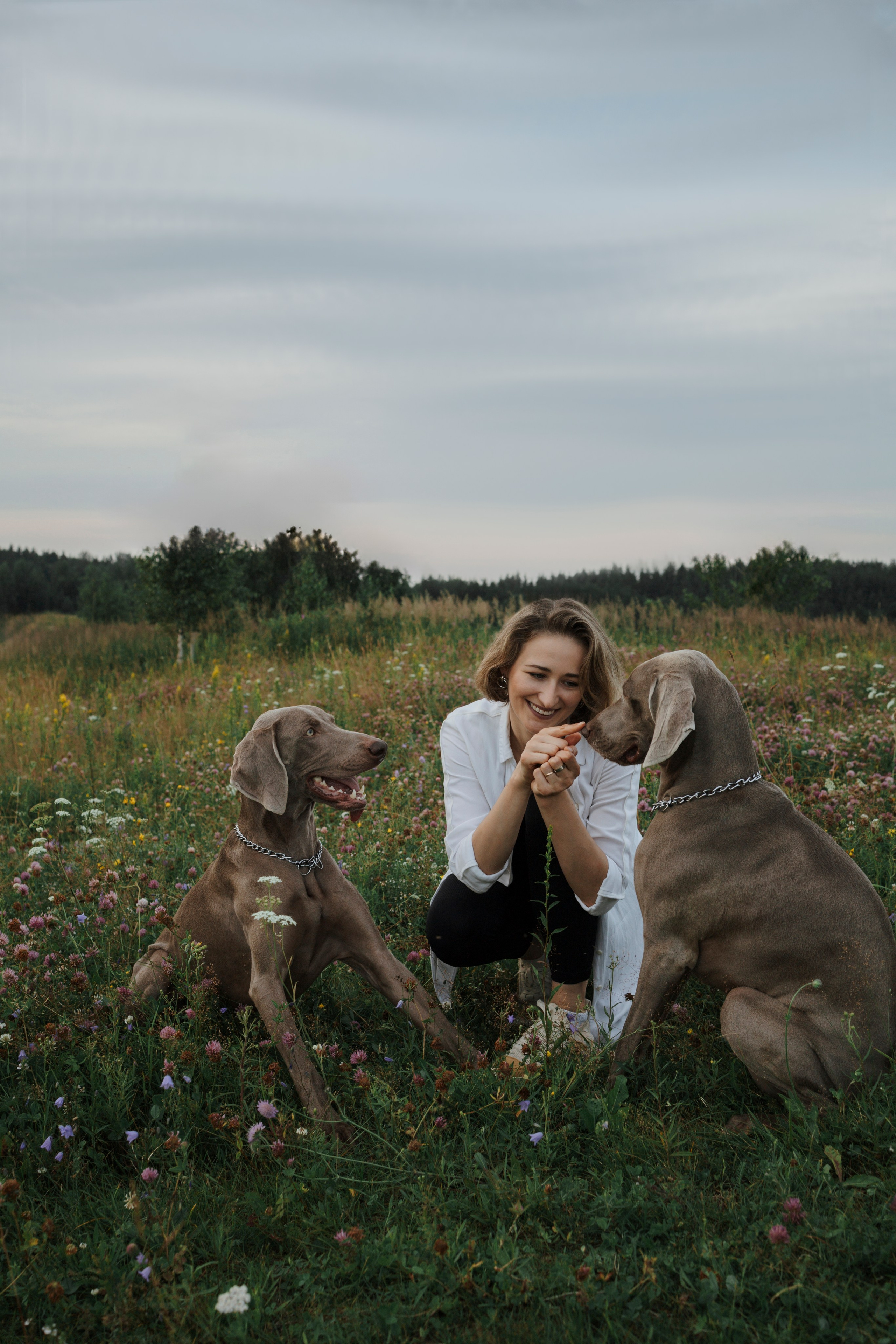 Маргарита и веймаранеры. Фотограф-анималист в Санкт-Петеребурге Титова Алиса