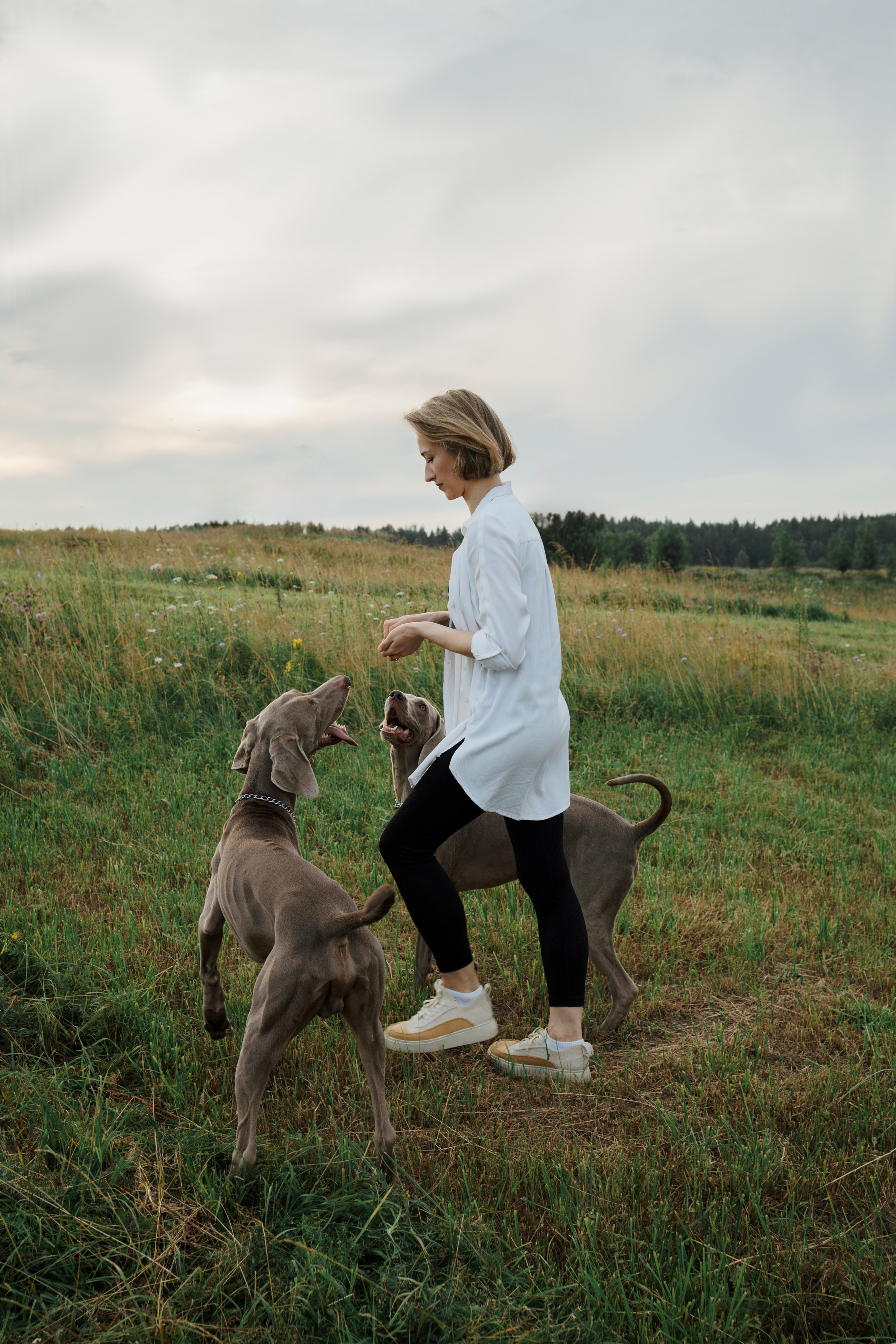 Маргарита и веймаранеры. Фотограф-анималист в Санкт-Петеребурге Титова Алиса