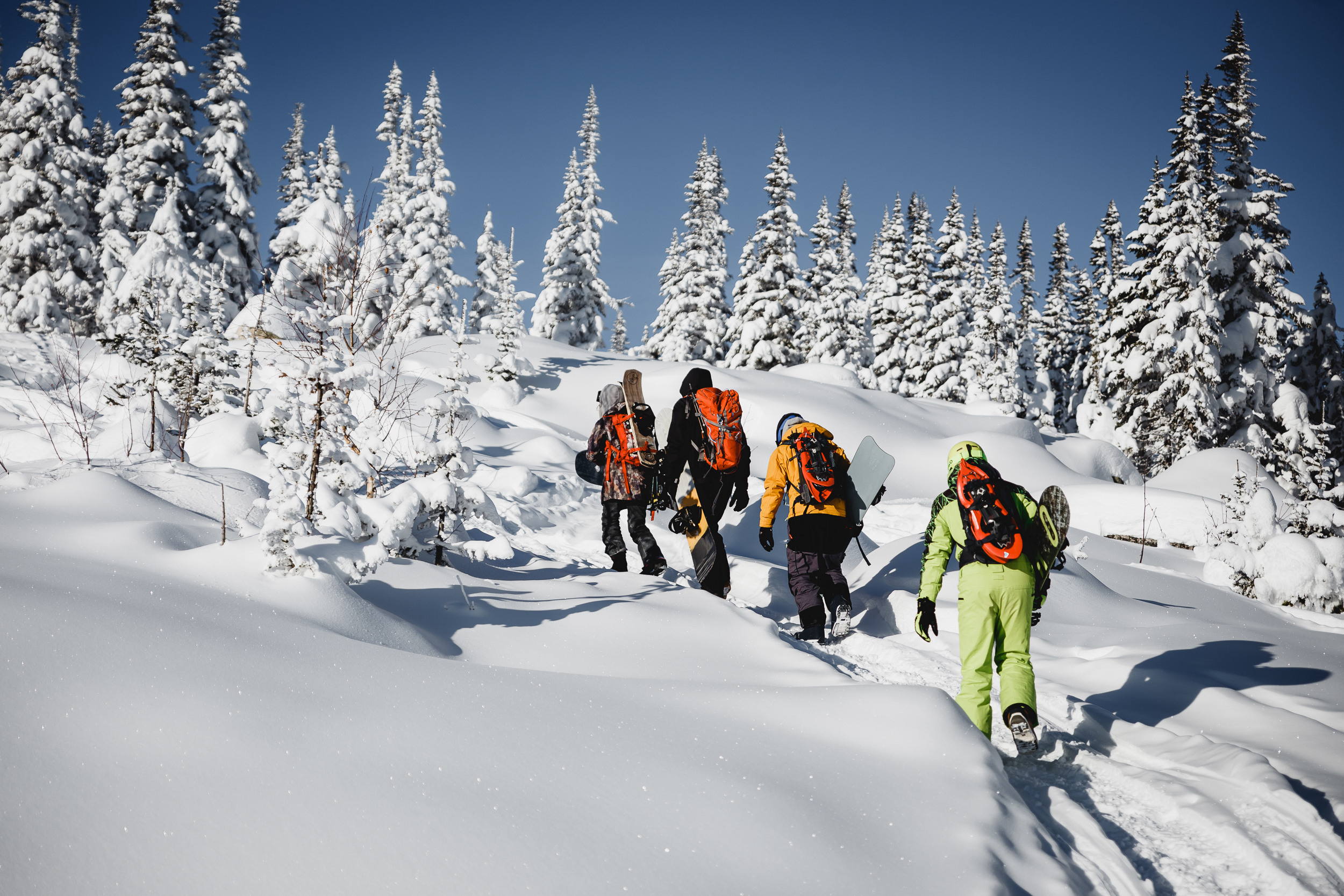 Зимние съёмки. Фотограф на Камчатке, съемки на природе