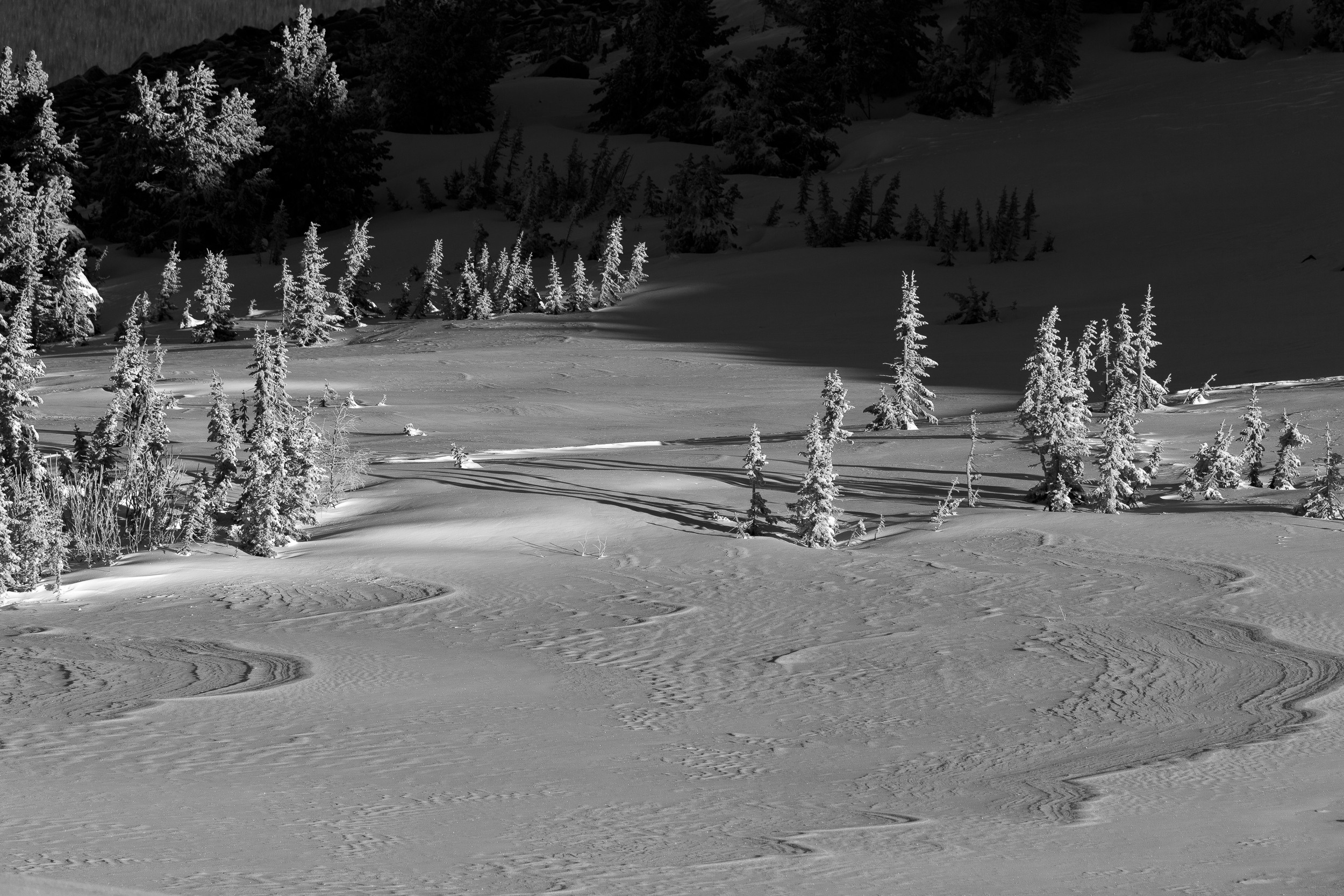 Постройка трамплина. Шерегеш 2022. Фотограф на Камчатке, съемки на природе