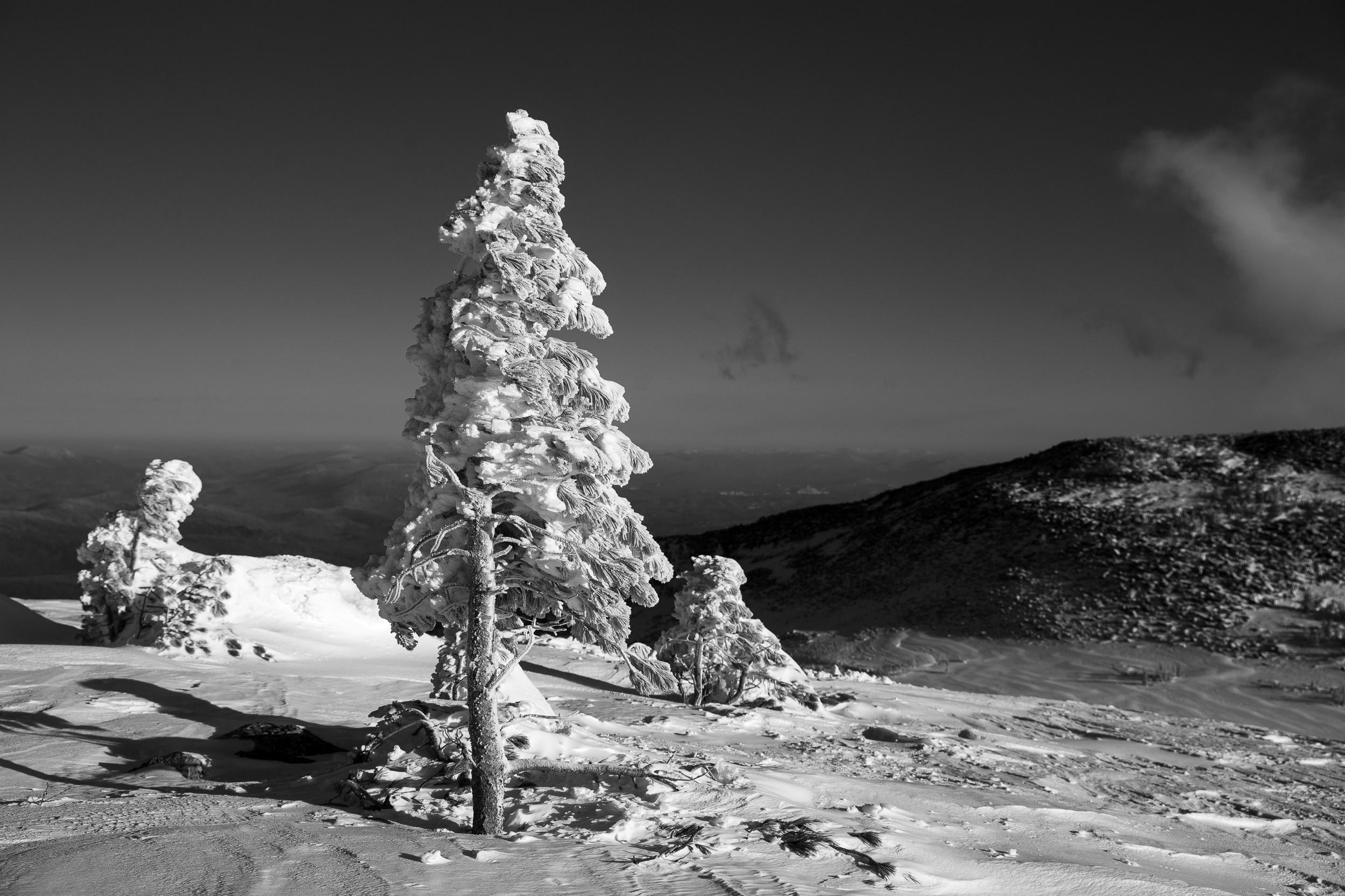 Постройка трамплина. Шерегеш 2022. Фотограф на Камчатке, съемки на природе