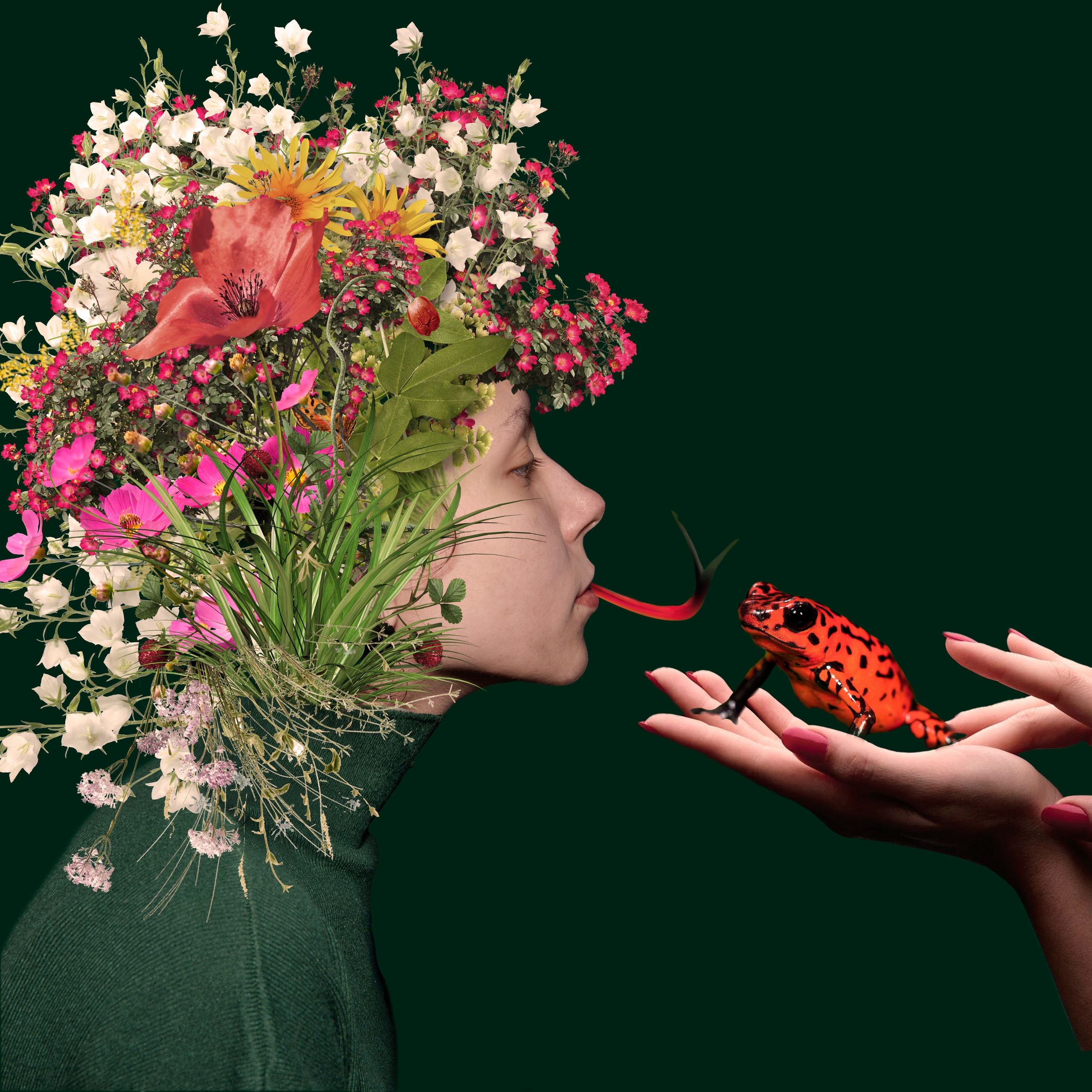 Коллажи из фотографий. Колентеева Наталья/фотограф