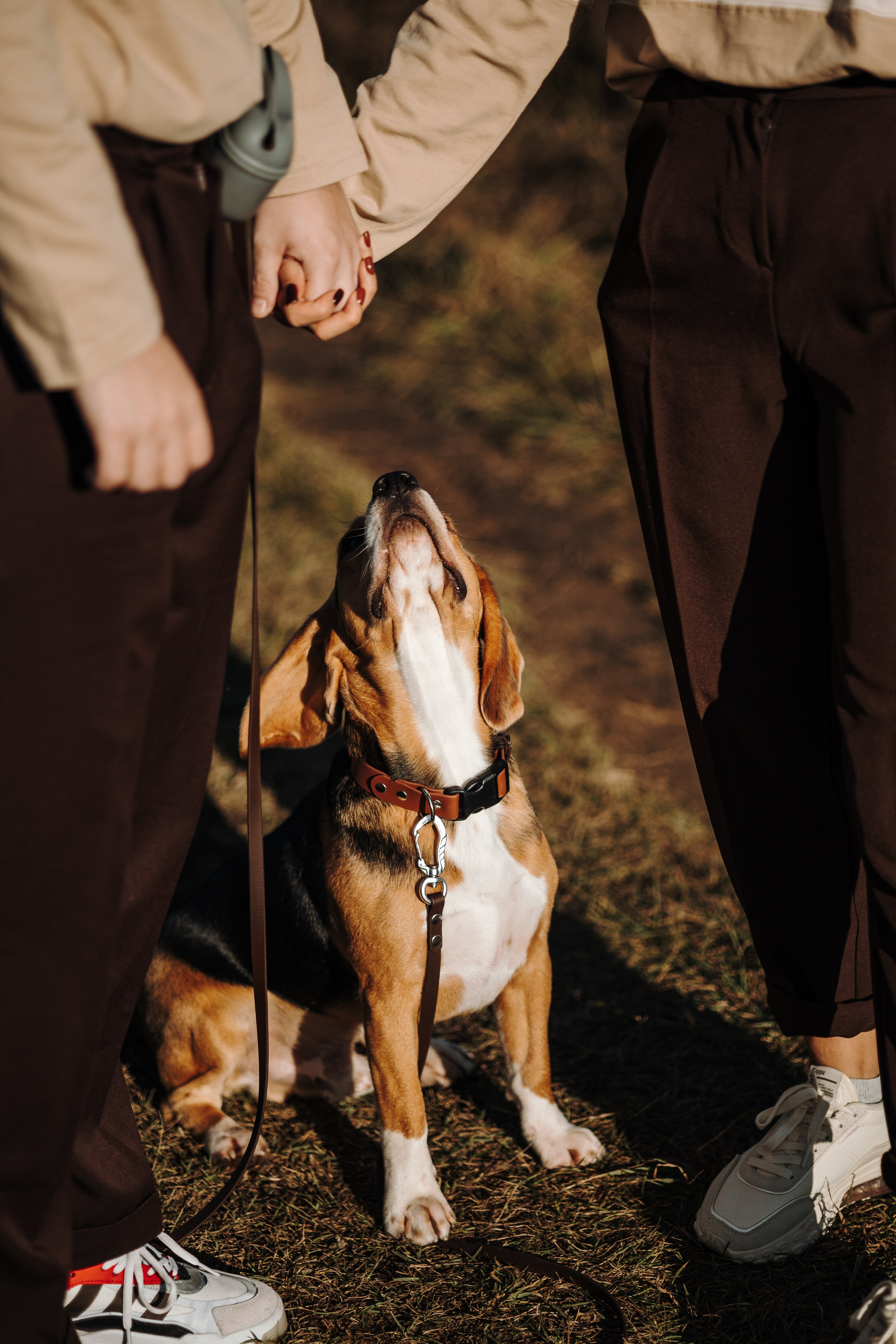Оуджи и его семья. Фотограф — Анималист | Санкт-Петербург