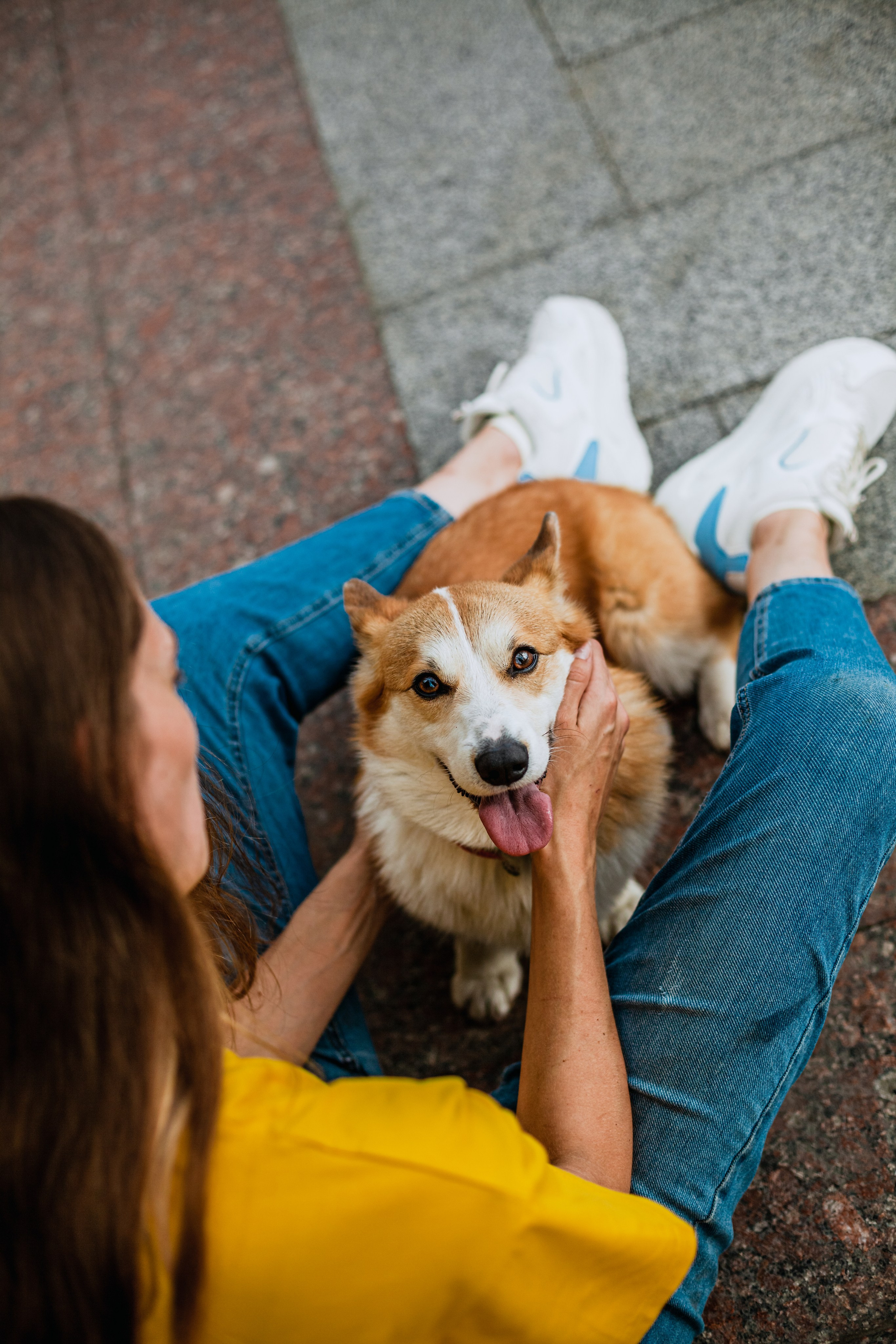 Андреевский мост. Фотограф-анималист Татьяна Степанова