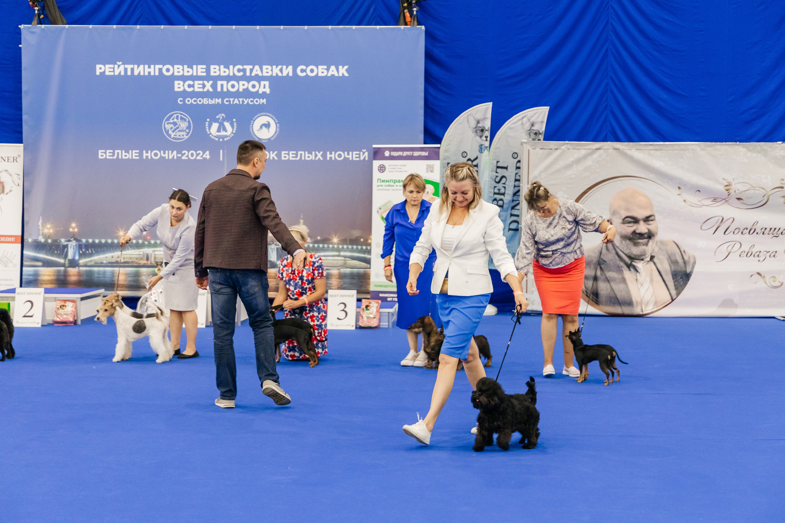 Зоошоу. Экспофорум 31.08. Выставка домашних животных. Семейный фотограф в Санкт-Петербурге Ева Маркова