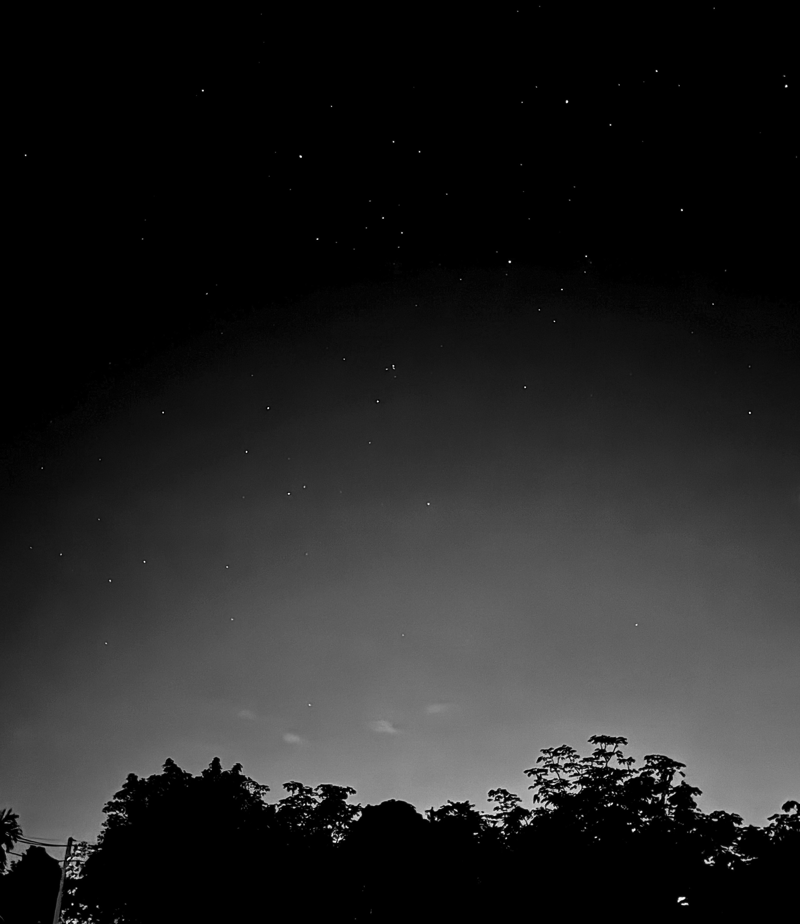 Фотограф Москва. Фотограф и художник в Москве Евгения Нюнина