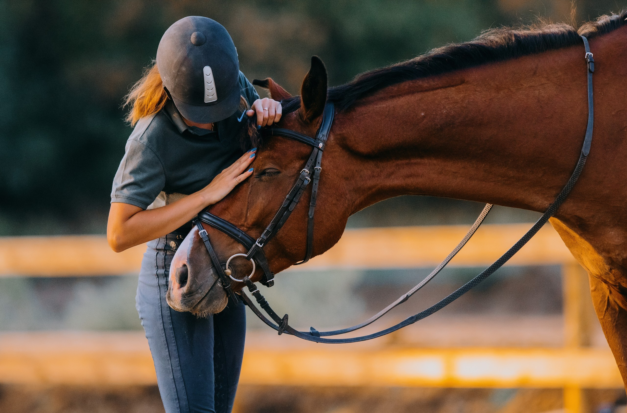 Отзывы. Фотограф-анималист Ксендзова Кристина