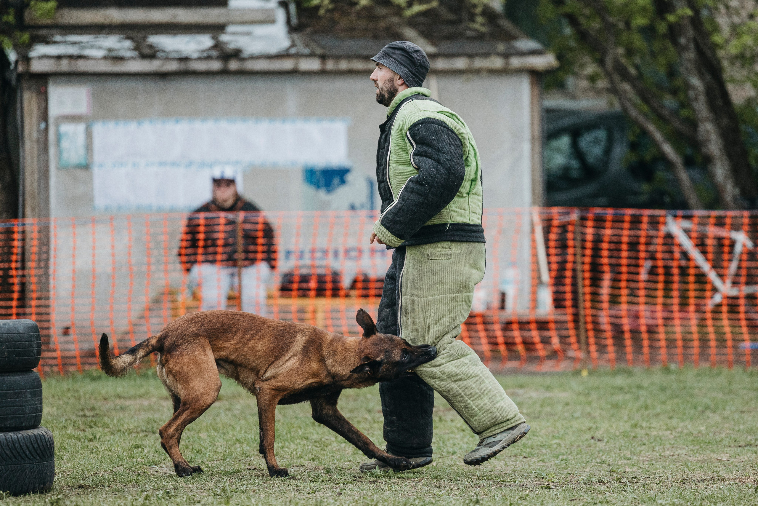 26.05.25 г. Пушкин квалификационные соревнования. Фотограф-анималист Анна Маринич