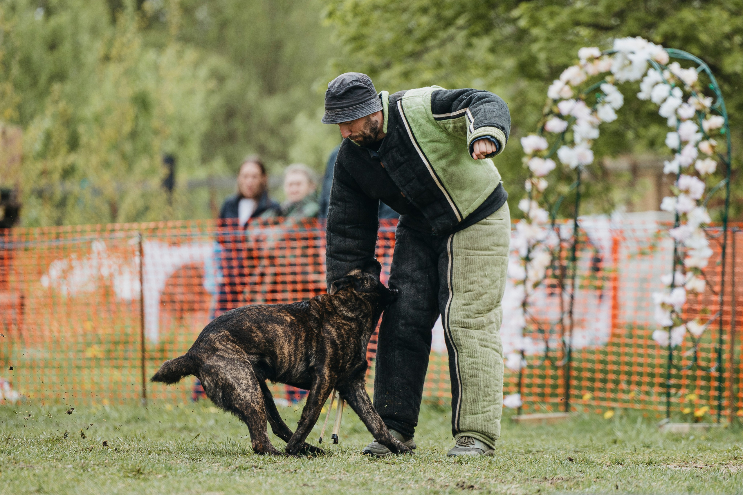 26.05.25 г. Пушкин квалификационные соревнования. Фотограф-анималист Анна Маринич