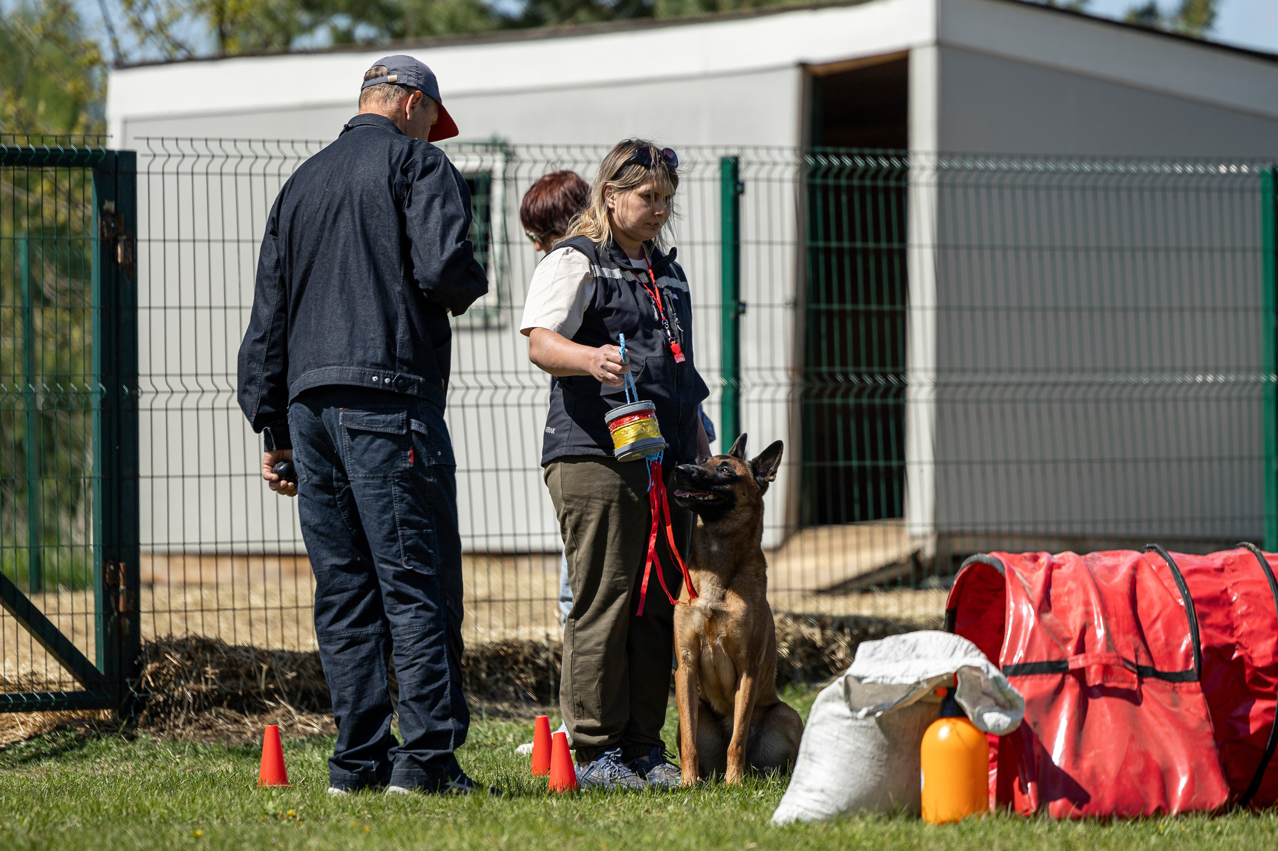 Испытания по мондьорингу в Нижнем Новгороде. Фотограф-анималист Анна Маринич