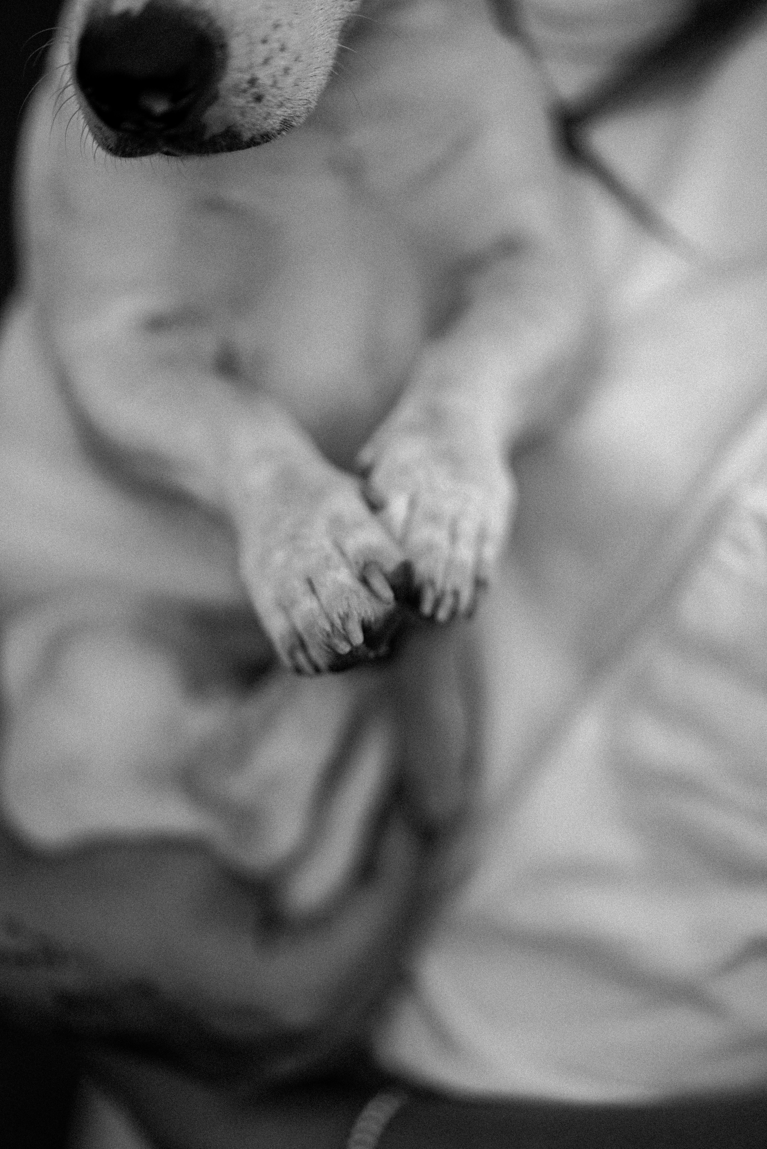 Павел, Евгения и Платон. Портретный фотограф Алёна Счетчикова