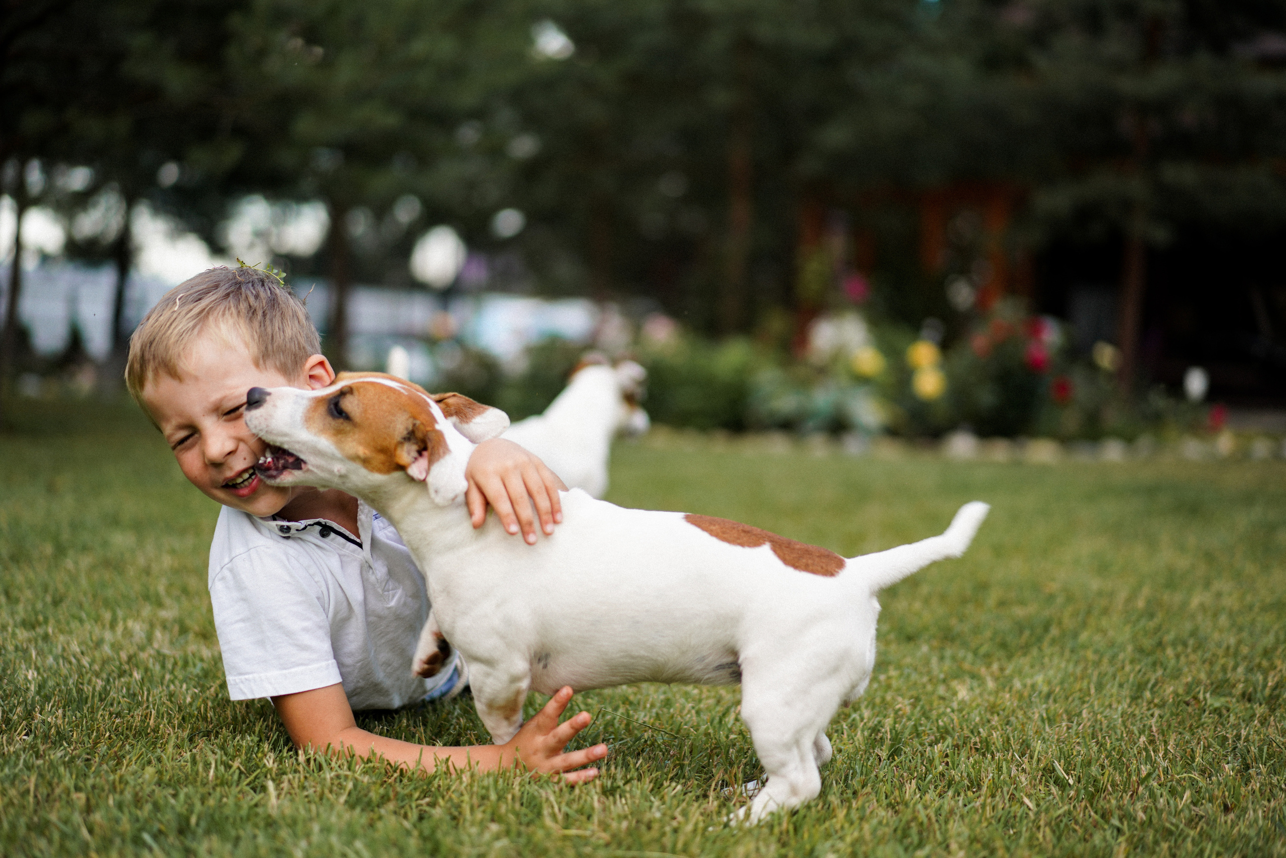 Павел, Евгения и Платон. Портретный фотограф Алёна Счетчикова
