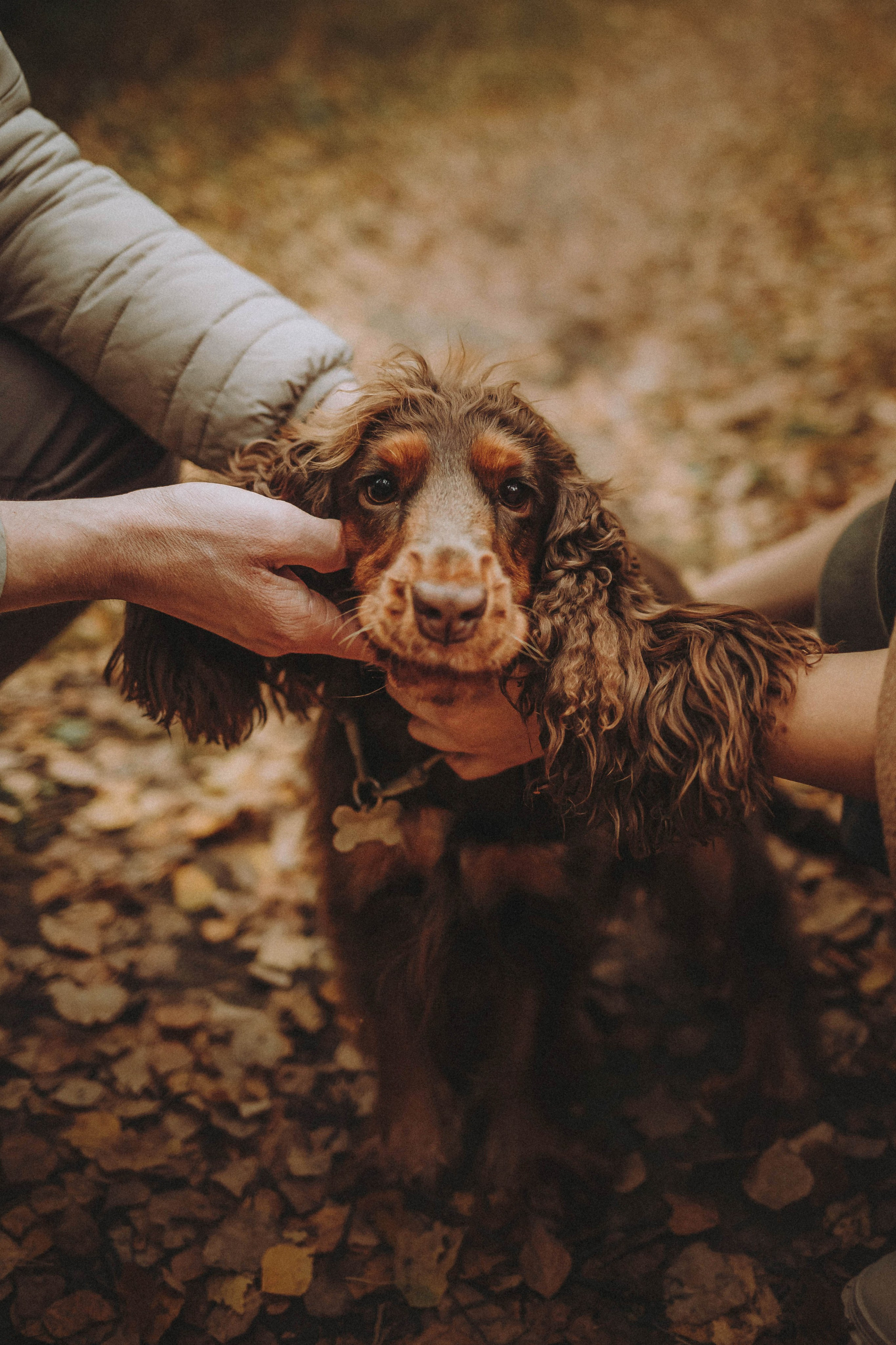 Настя, Саша и Эстер
