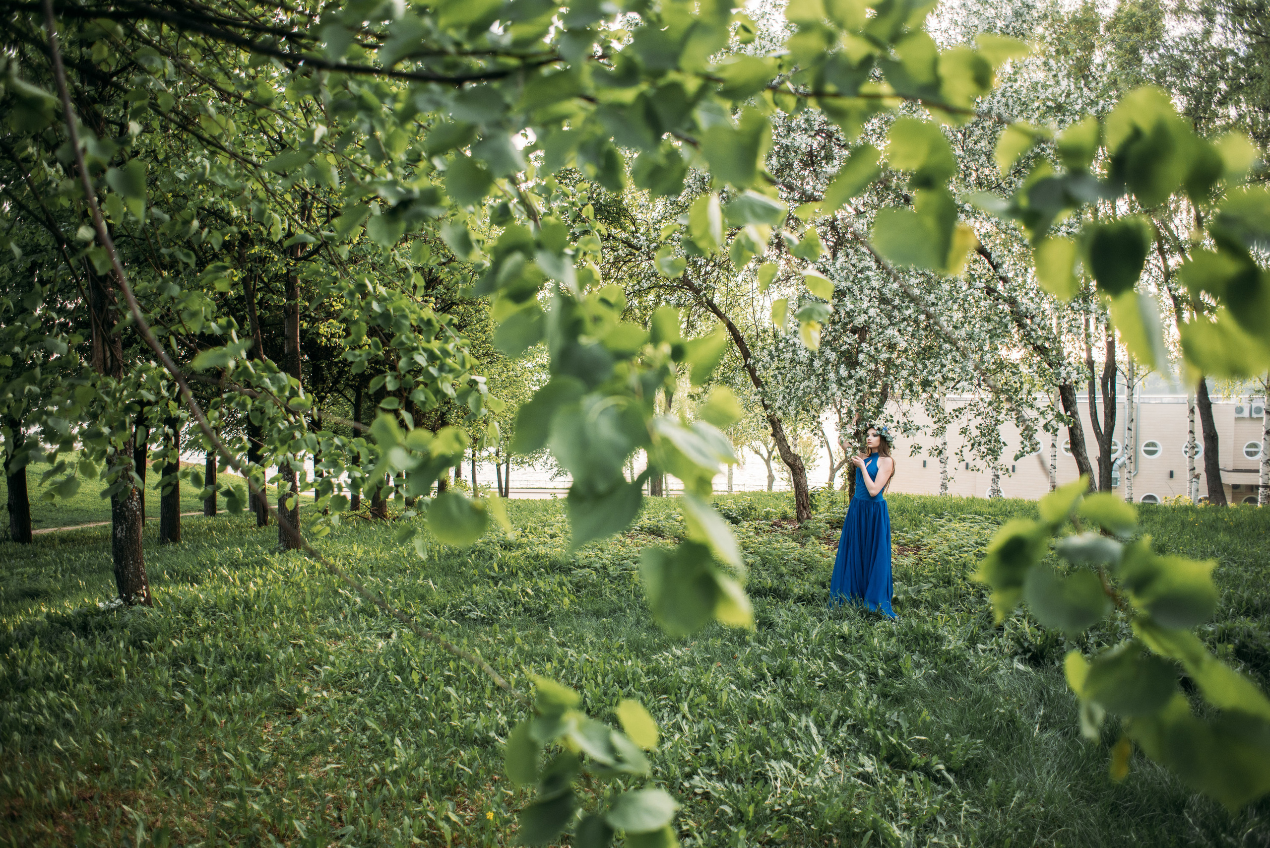 Цветение яблони. Свадебный фотограф Ижевск Петр Шишков