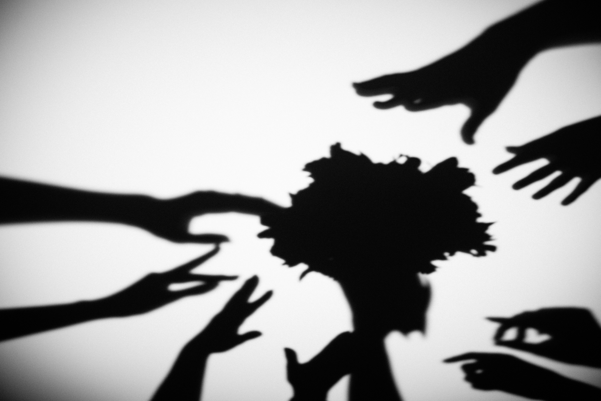 Мадияр & Махаббат. Фотограф Даурен Абилхаятов