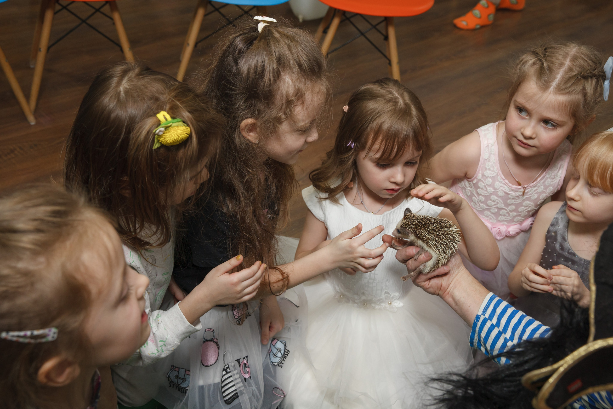 День рождения Егора, 6 лет, «Мультяшка». Свадебный и репортажный фотограф (Москва, Королев и другие)