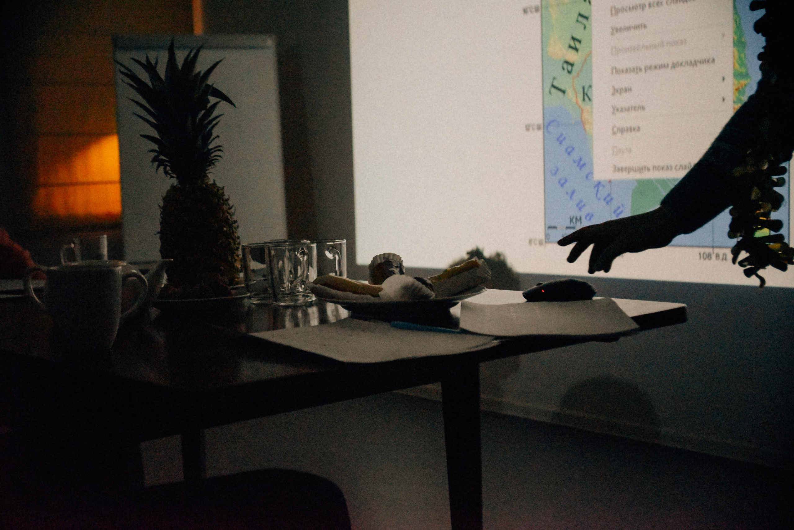 ЧТО ТЫ МЕЛЕШь Вечер вьетнамского караоке. Фотограф Лола Волна, город Москва