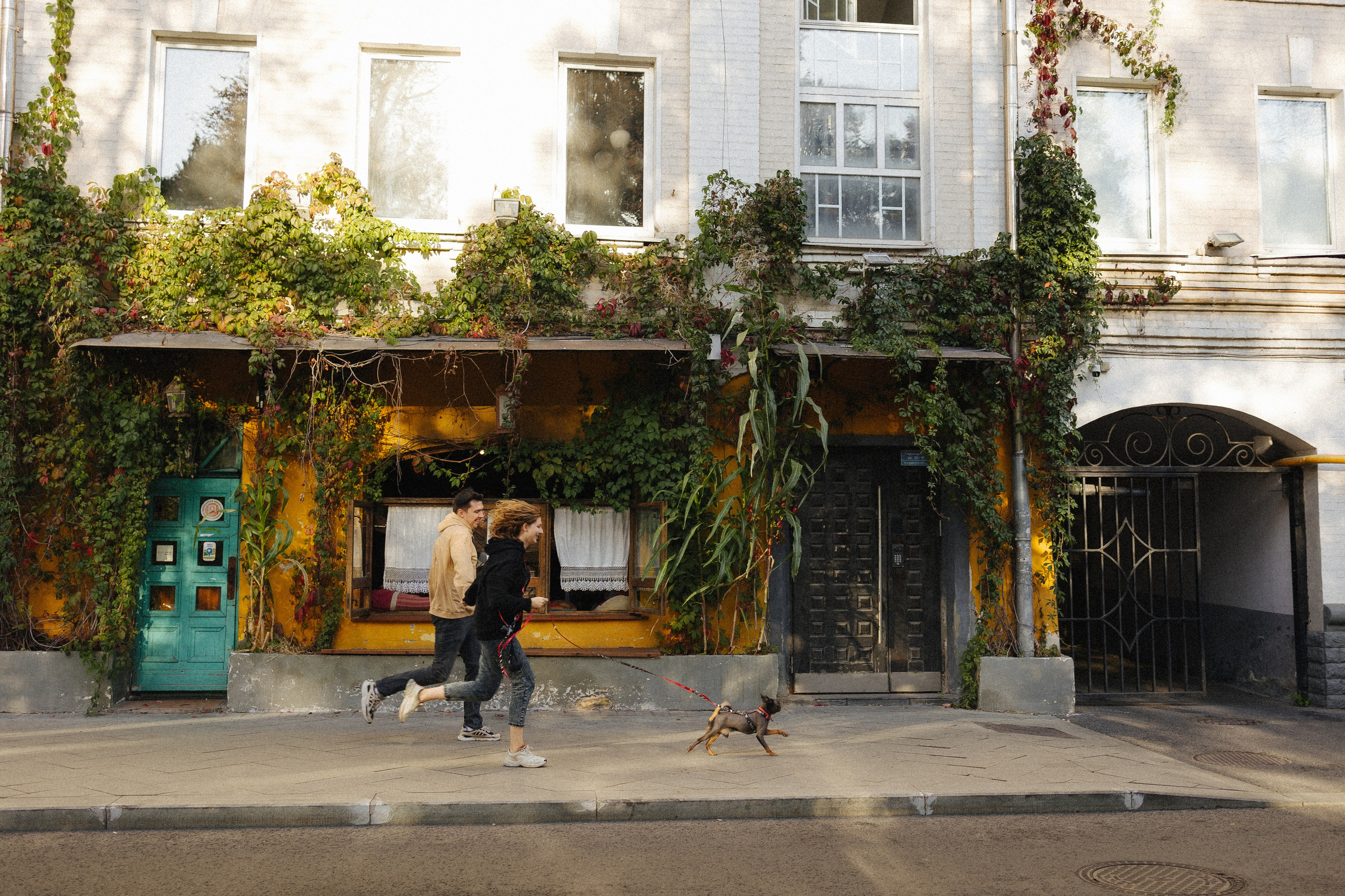 Грогу и его семья. Фотораф — анималист Мария Шистка