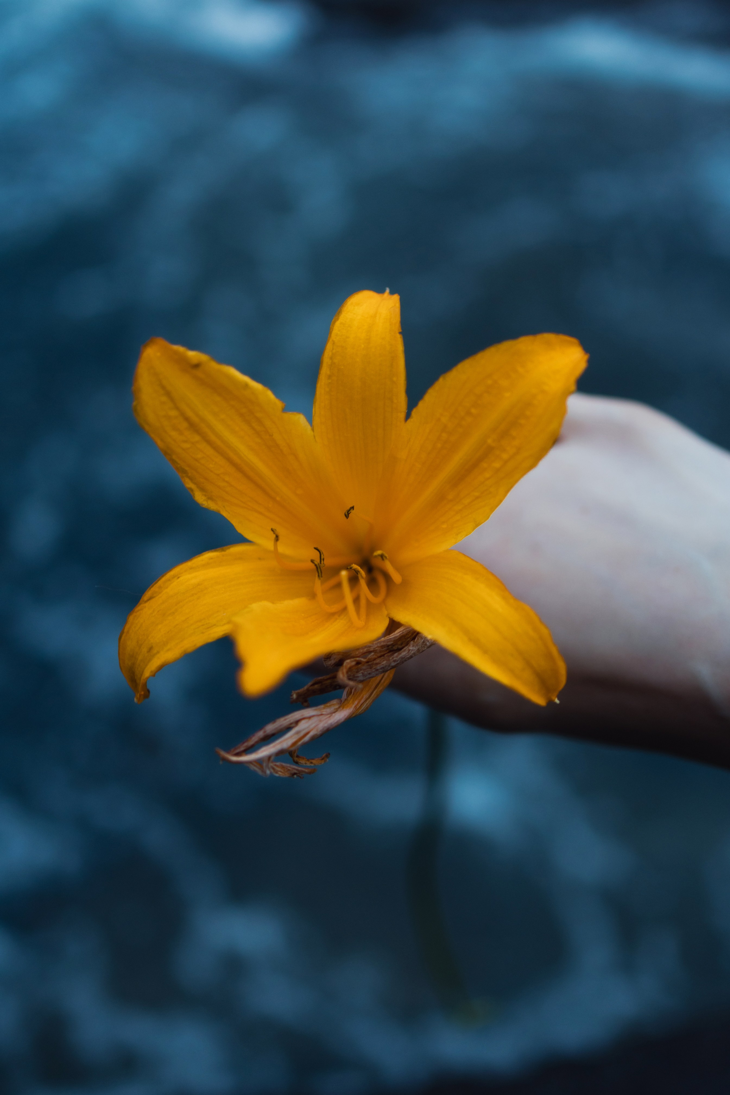 Как выбрать фотографа, который тебя раскроет?. Фотограф Алексей Селин Владивосток, Уссурийск, Находка, Артем