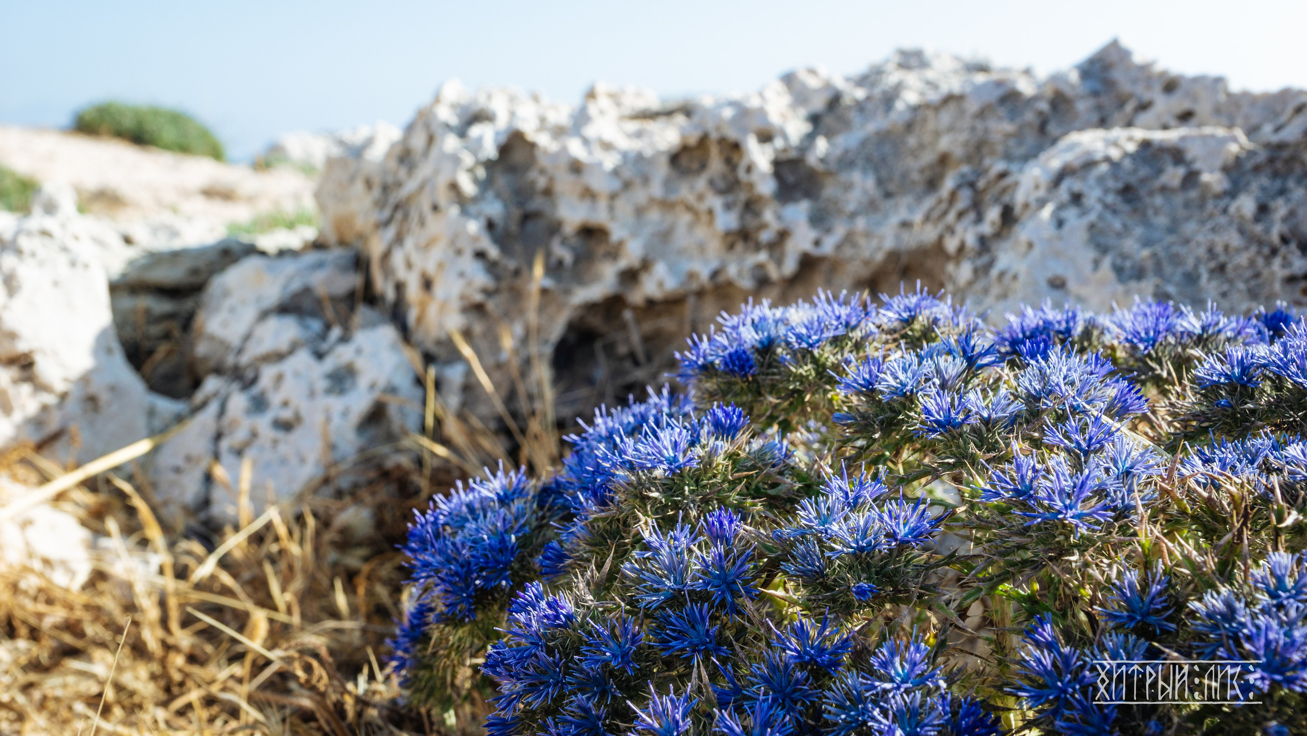 Европа. Фотограф-путешественник Самойлов Максим «Sly Fox»