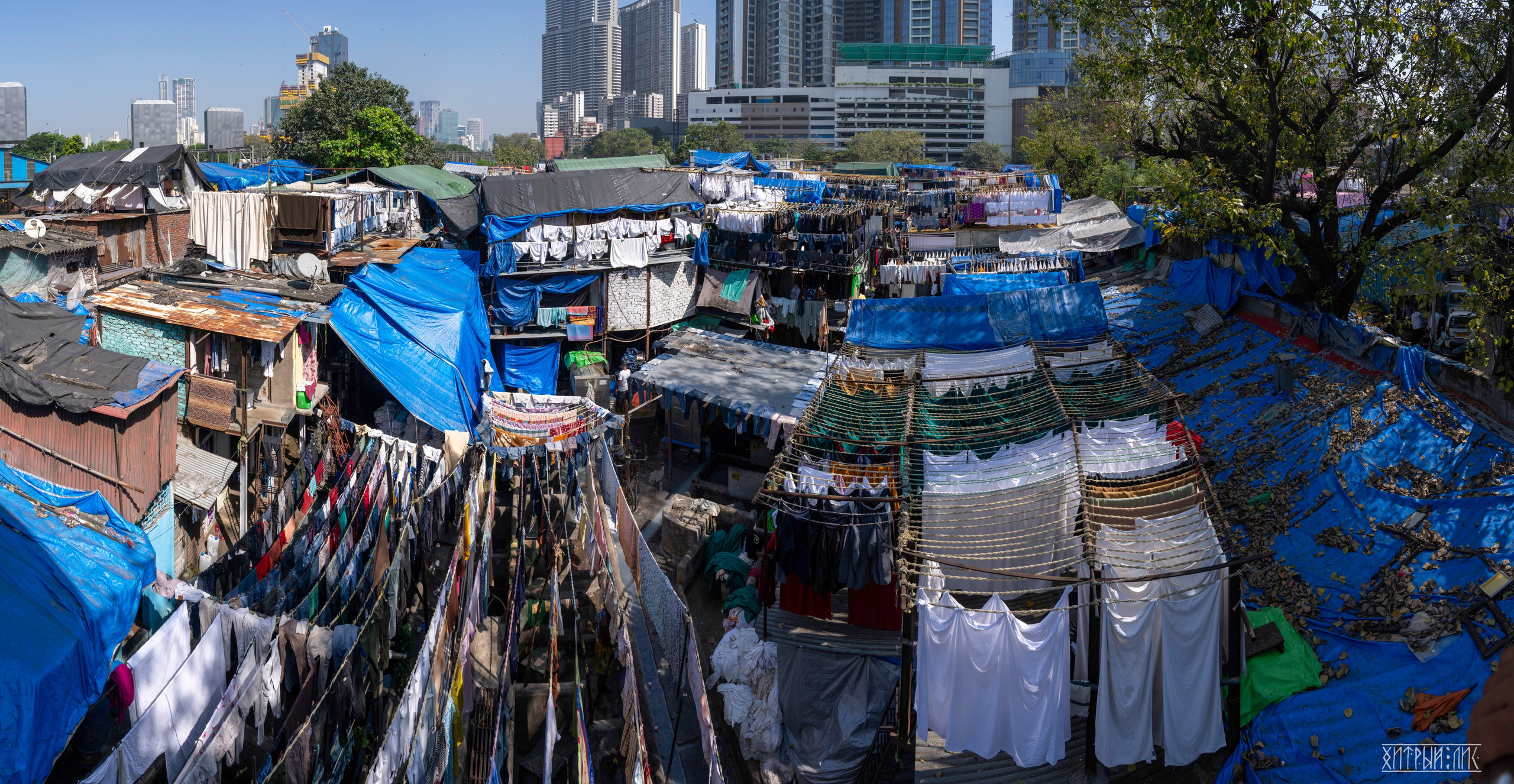 Гоа-Мумбаи. Фотограф-путешественник Самойлов Максим «Sly Fox»